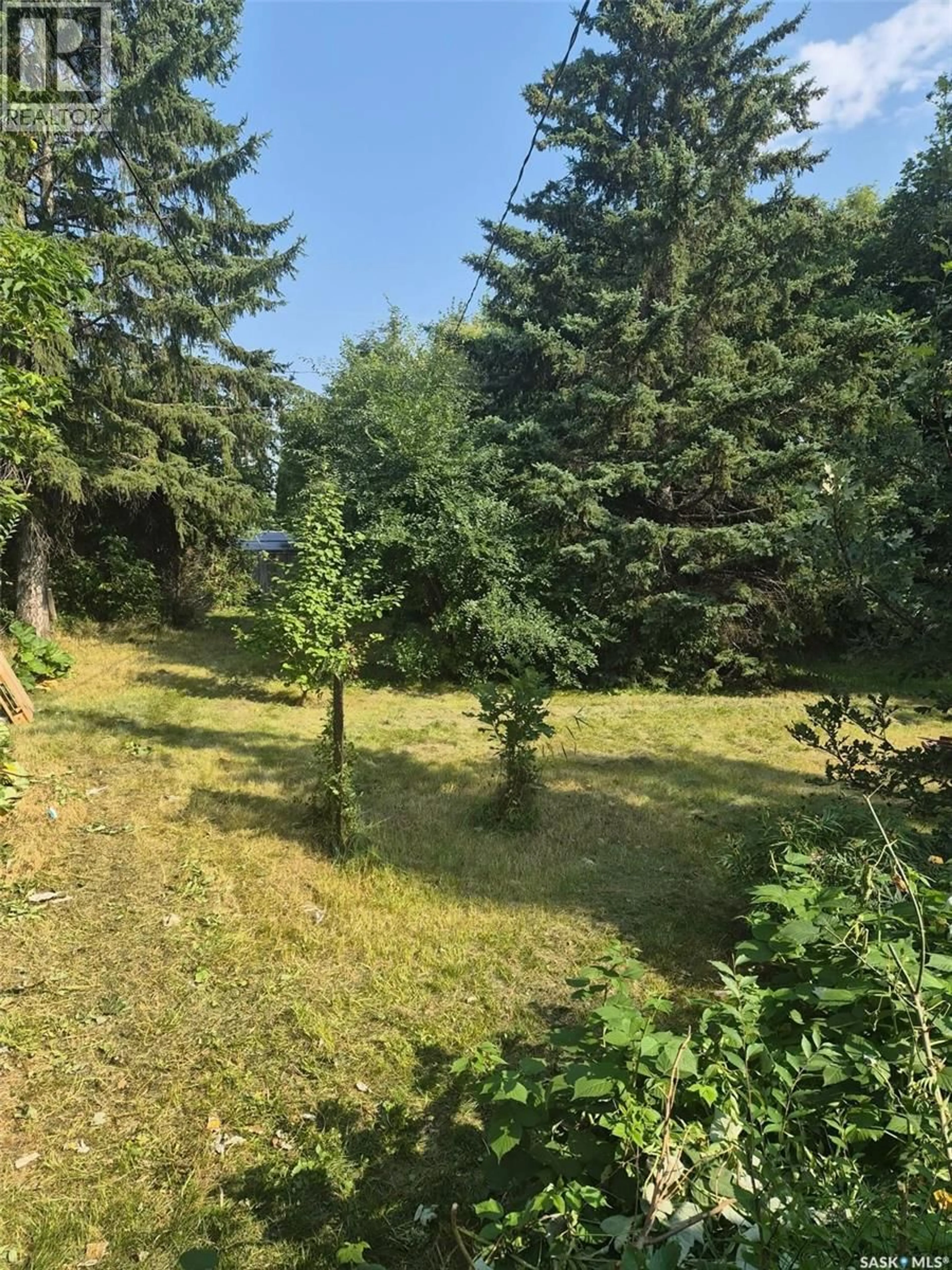 A pic from outside/outdoor area/front of a property/back of a property/a pic from drone, forest/trees view for 600 3RD AVENUE, Cudworth Saskatchewan S0K1B0