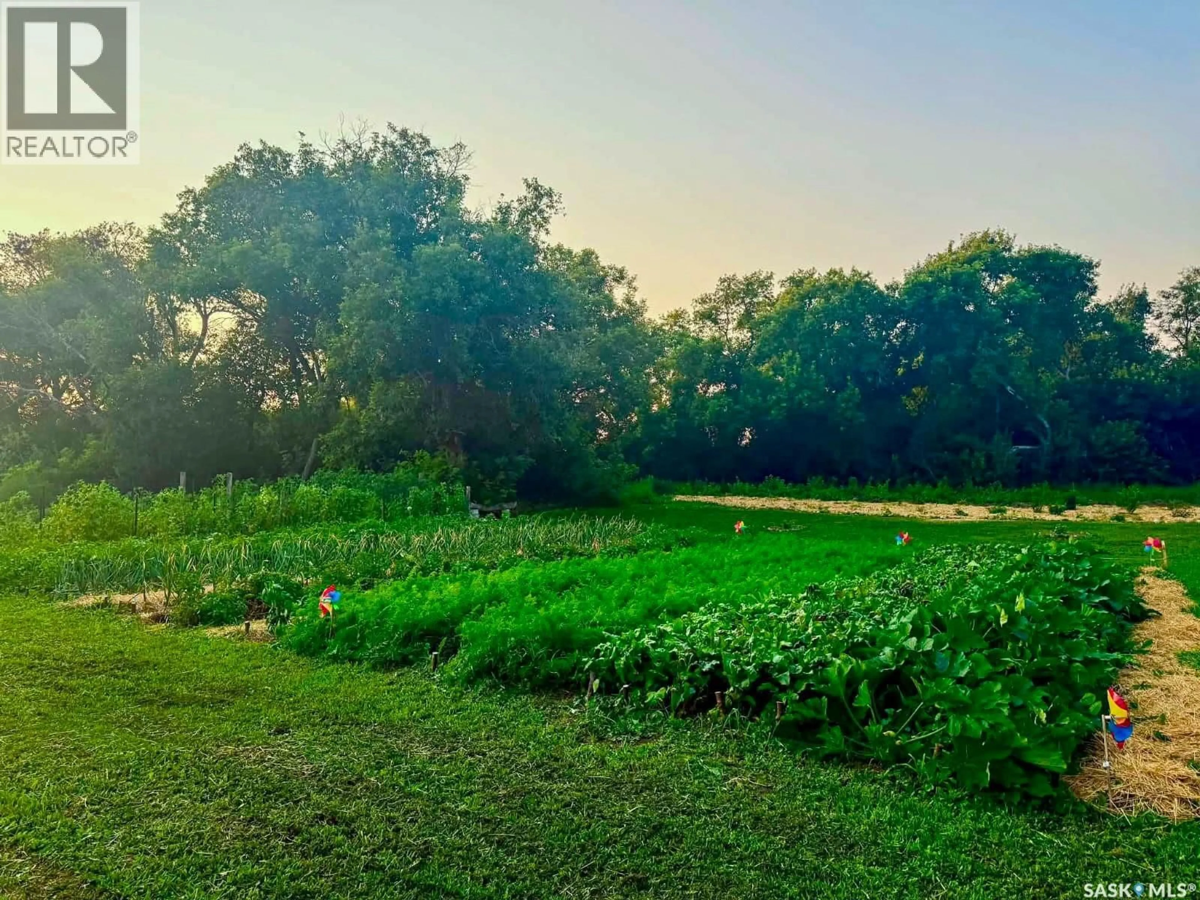 A pic from outside/outdoor area/front of a property/back of a property/a pic from drone, forest/trees view for PROTEAU ACREAGE, Sliding Hills Rm No. 273 Saskatchewan S0A2R0
