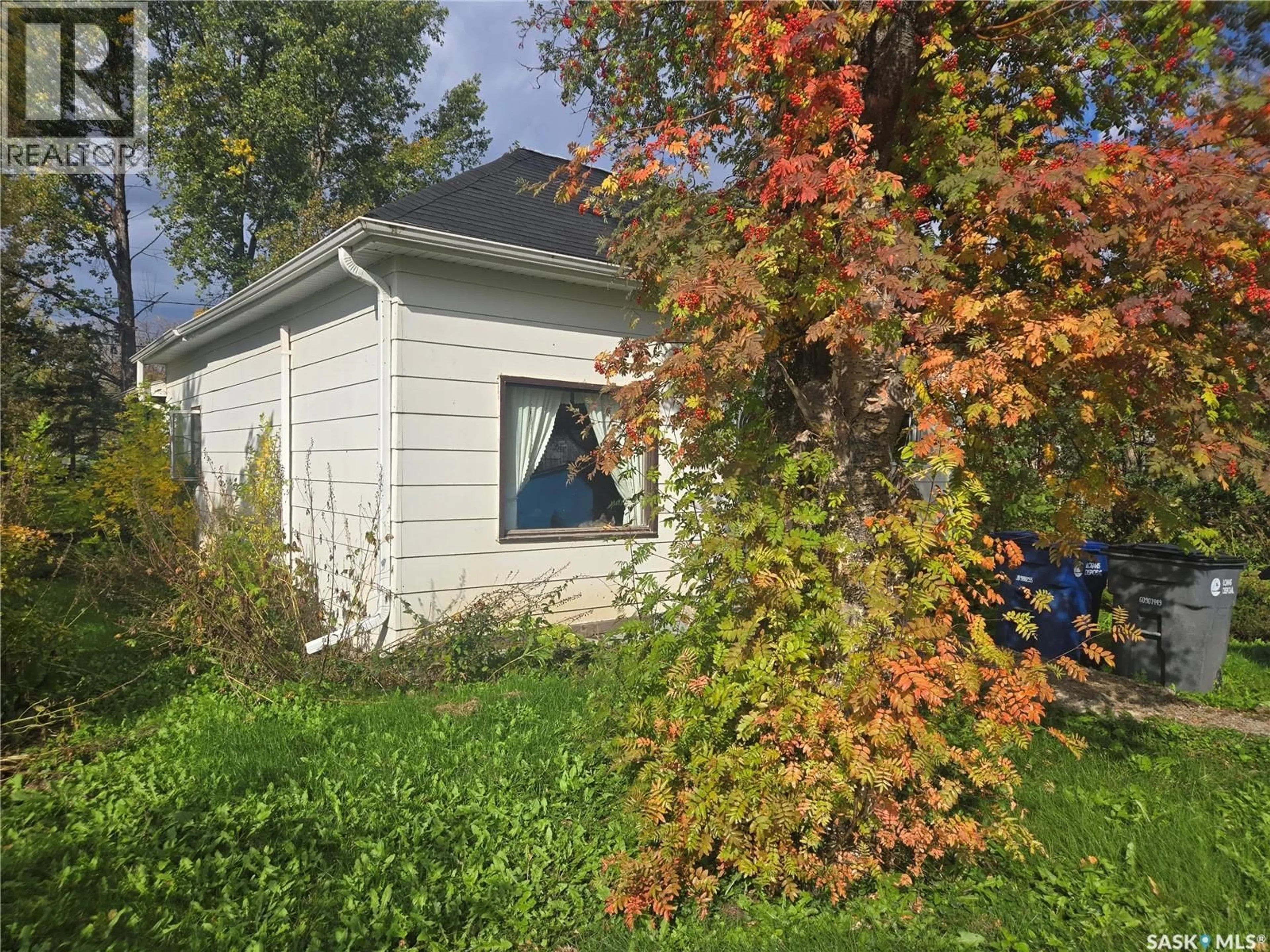 Shed for 206 OSLER STREET, Windthorst Saskatchewan S0G5G0