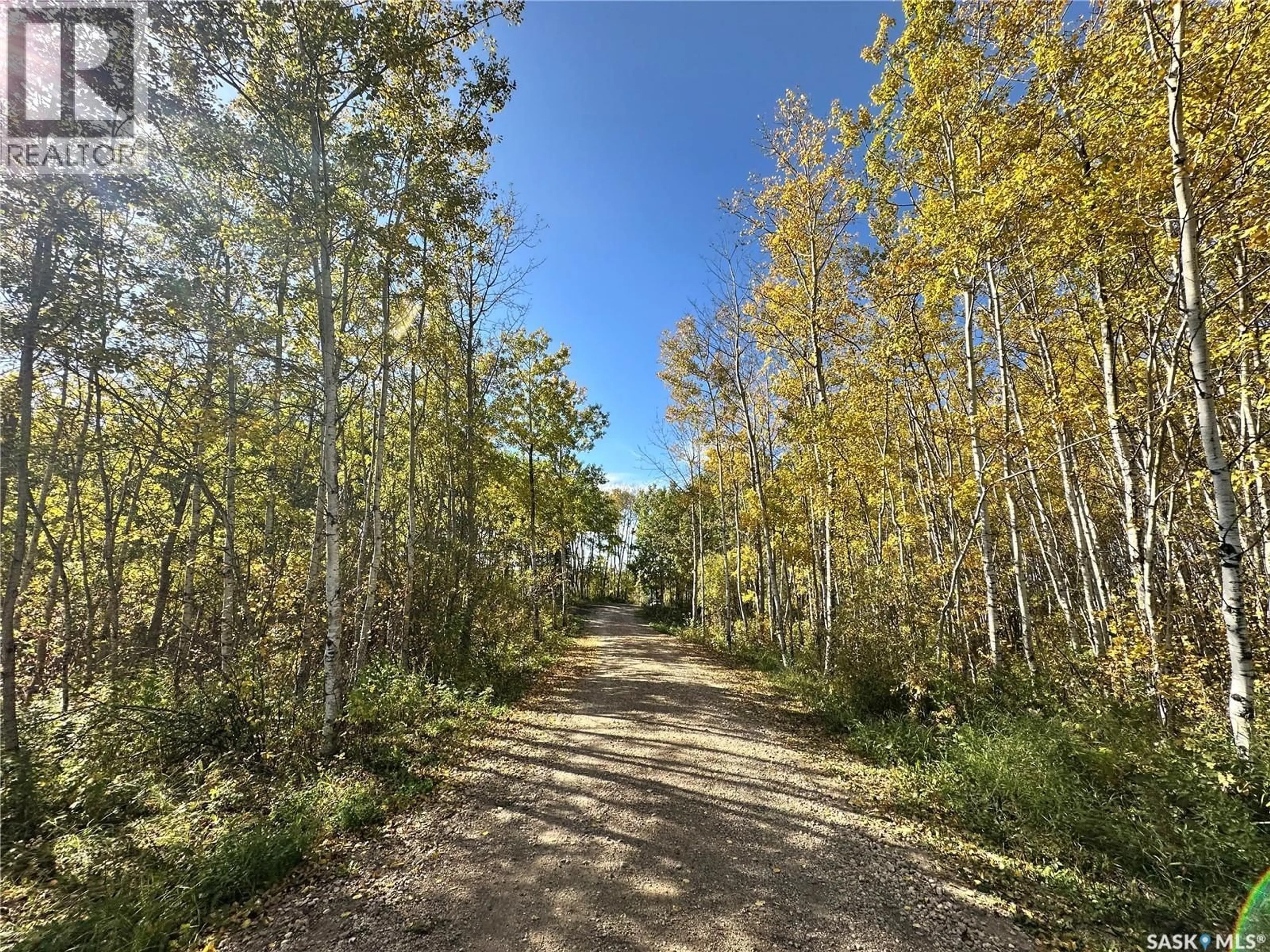 A pic from outside/outdoor area/front of a property/back of a property/a pic from drone, forest/trees view for J&M CHRISTIANSON ACREAGE, Hazel Dell Rm No. 335 Saskatchewan S0A3B0