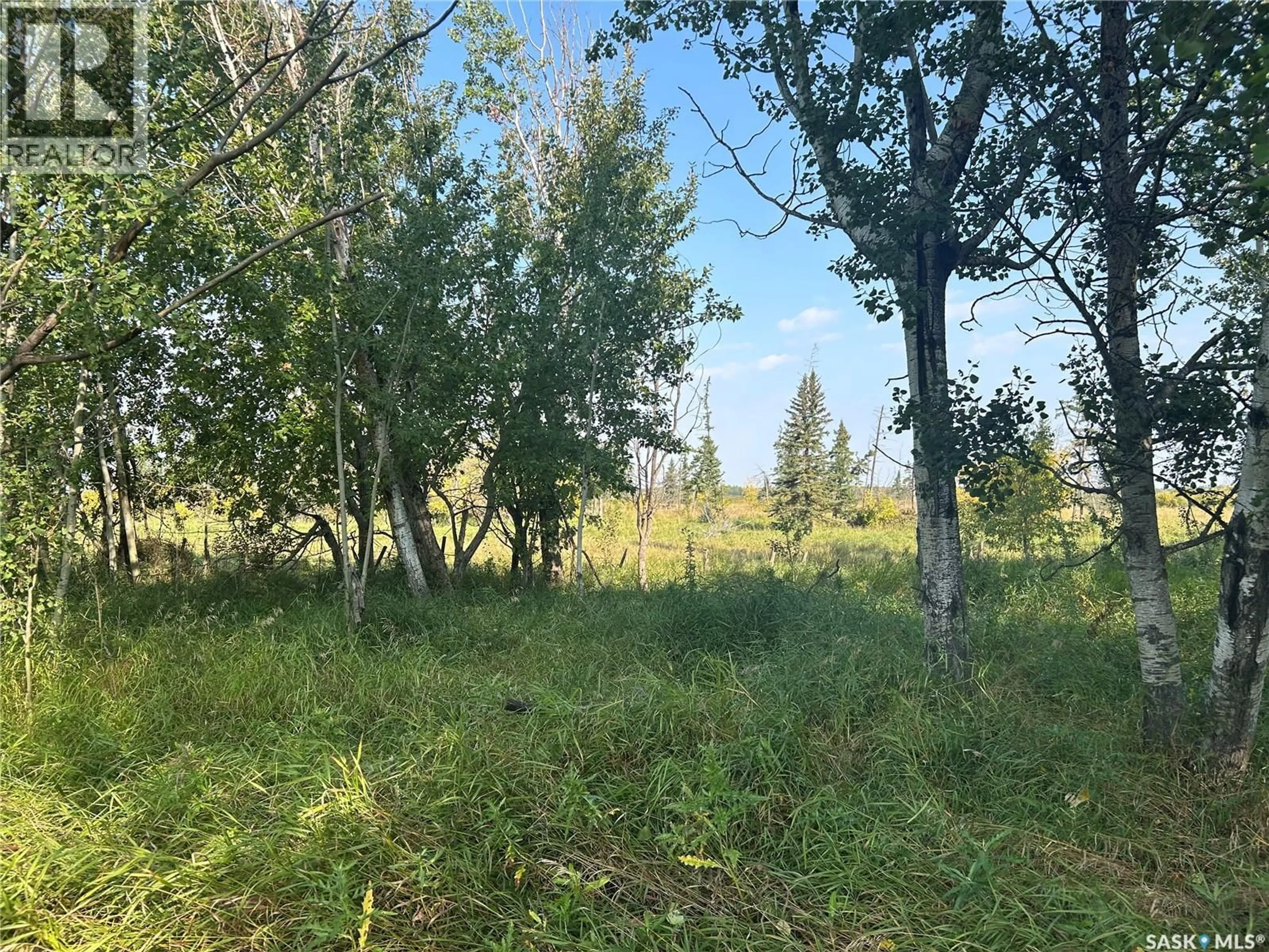 Unknown for WEAVER ACREAGE, Barrier Valley Rm No. 397 Saskatchewan S0E0B0