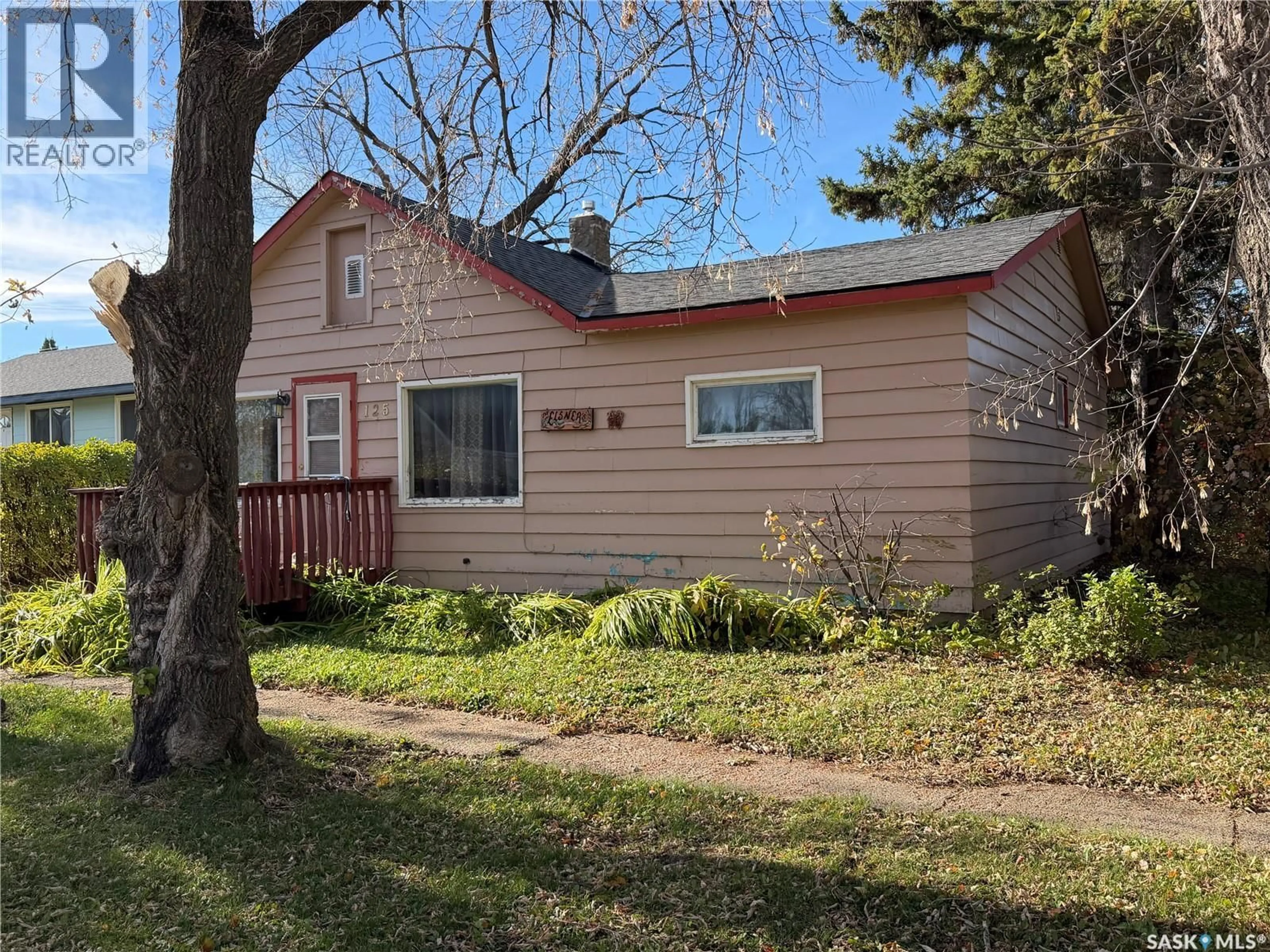Home with vinyl exterior material, street for 125 5TH STREET, Star City Saskatchewan S0E1P0