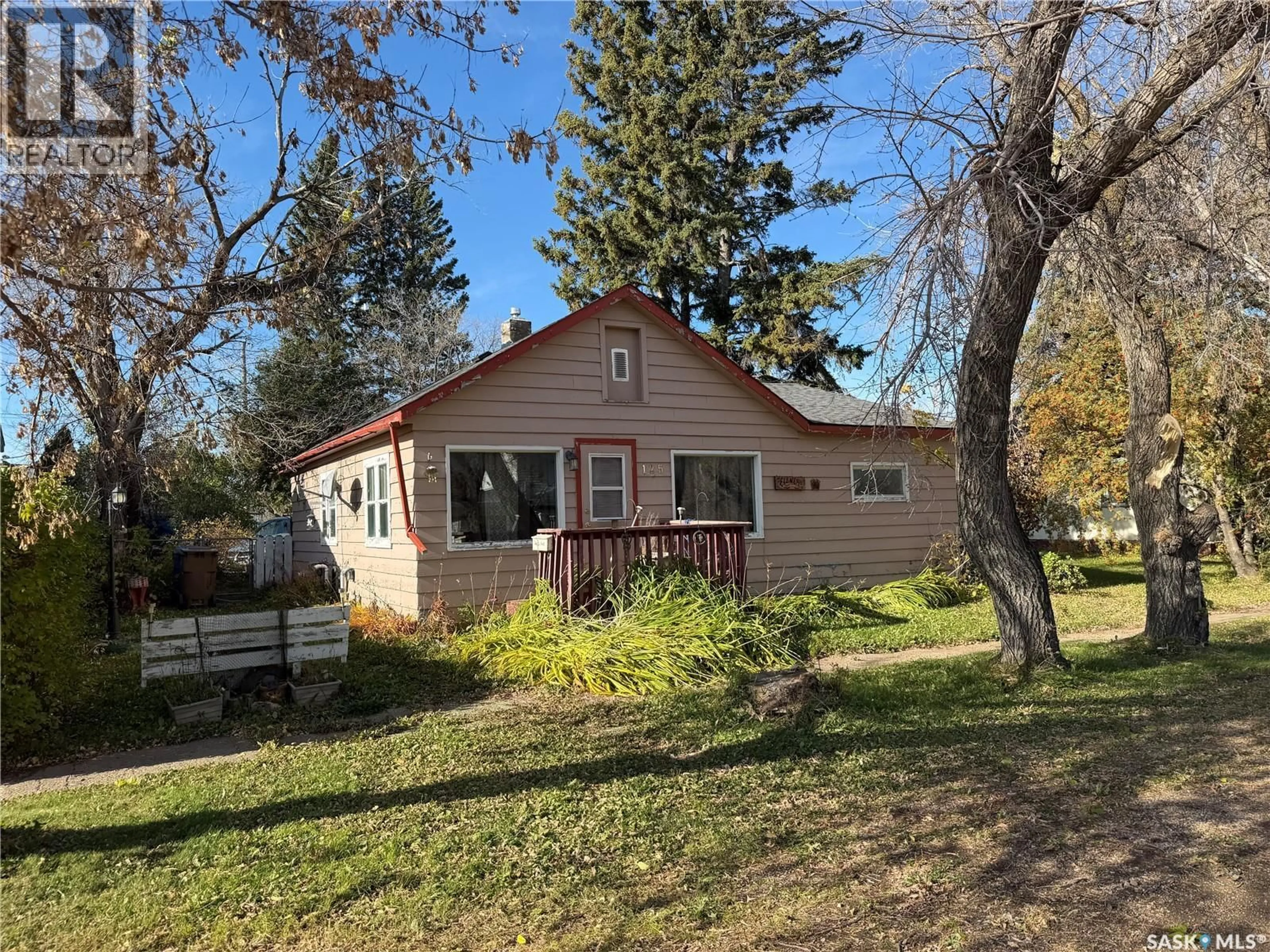 A pic from outside/outdoor area/front of a property/back of a property/a pic from drone, street for 125 5TH STREET, Star City Saskatchewan S0E1P0