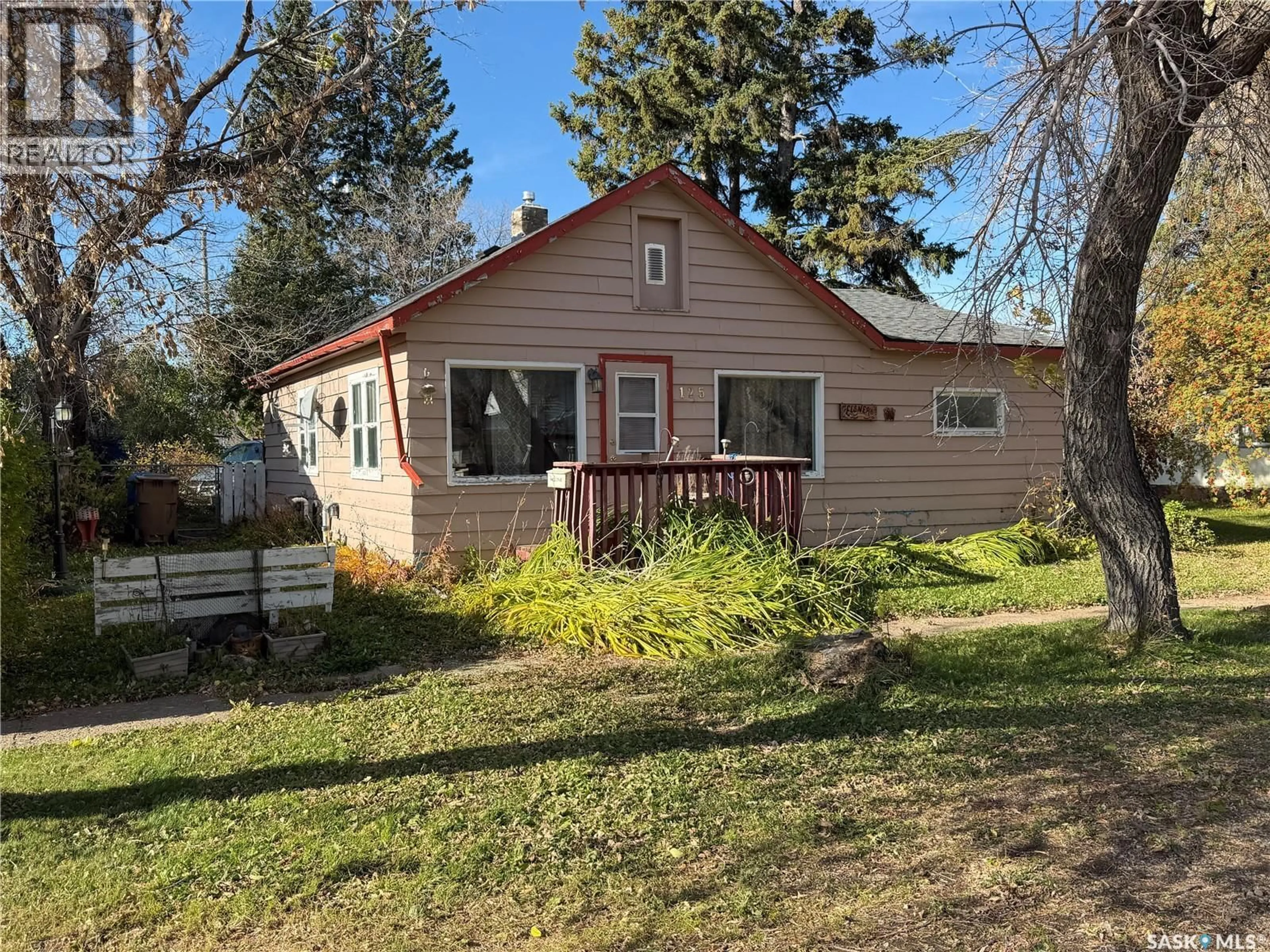 Unknown for 125 5TH STREET, Star City Saskatchewan S0E1P0