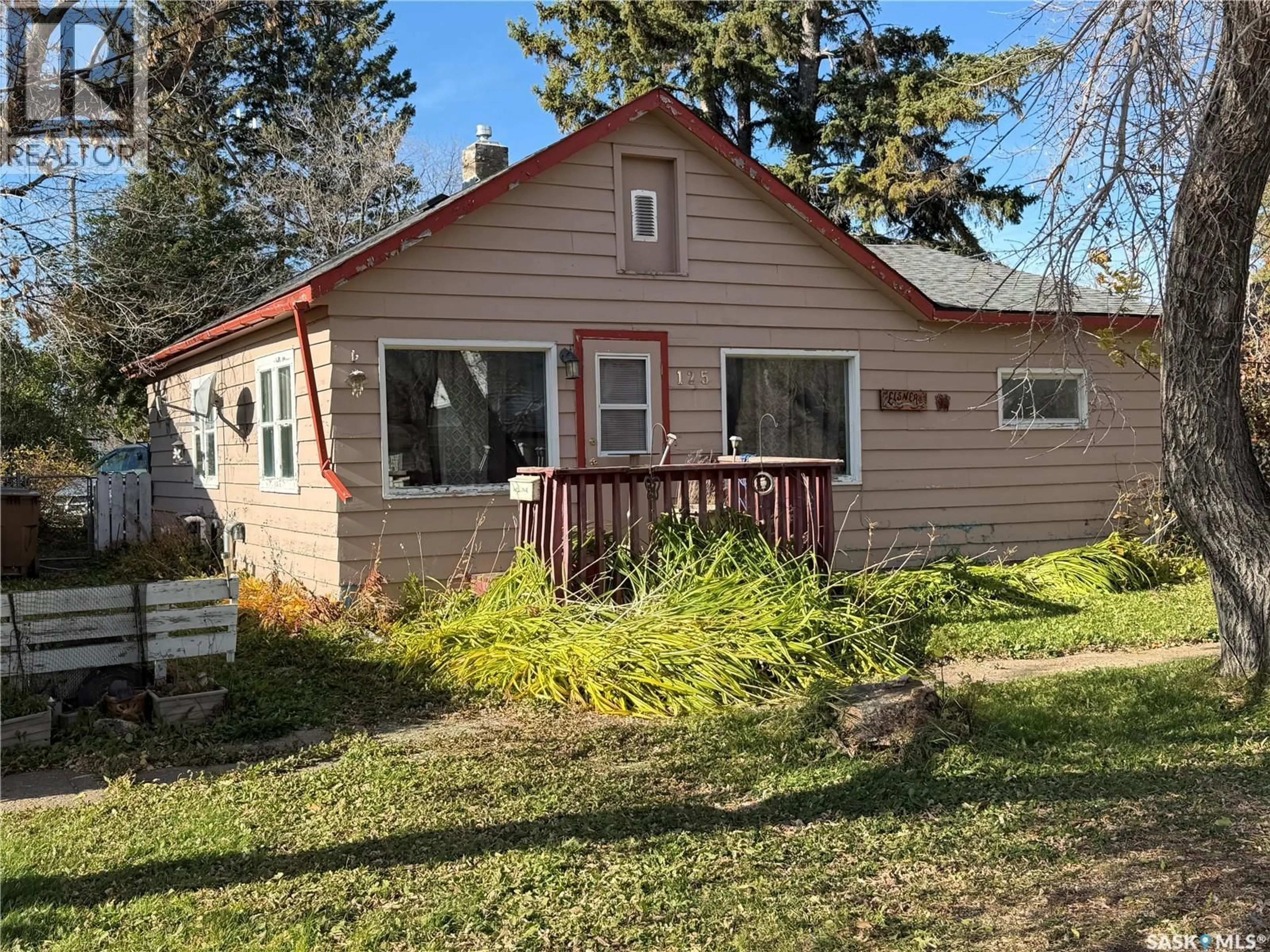 Unknown for 125 5TH STREET, Star City Saskatchewan S0E1P0