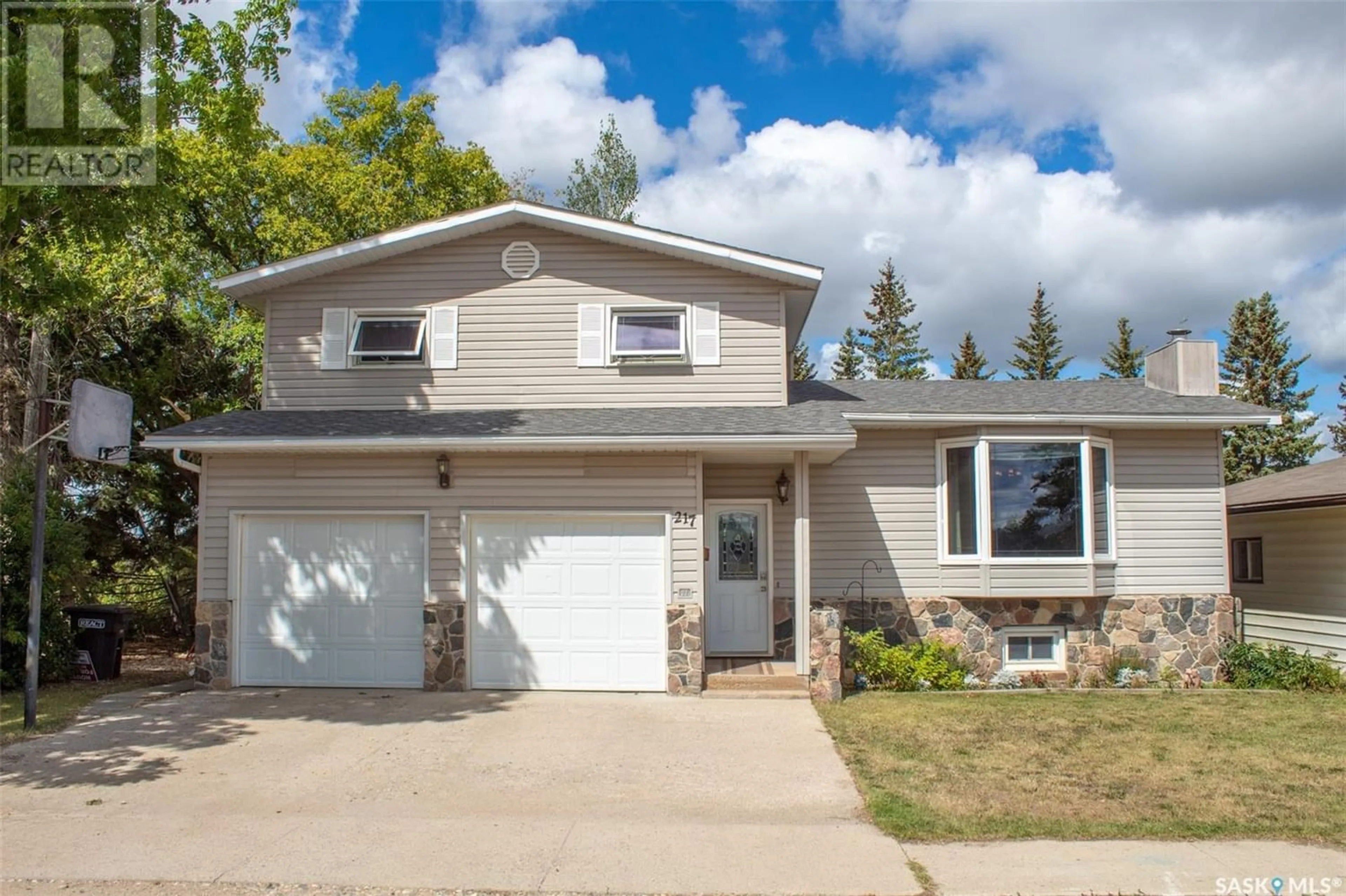 Frontside or backside of a home for 217 2nd AVENUE N, St. Brieux Saskatchewan S0K3V0