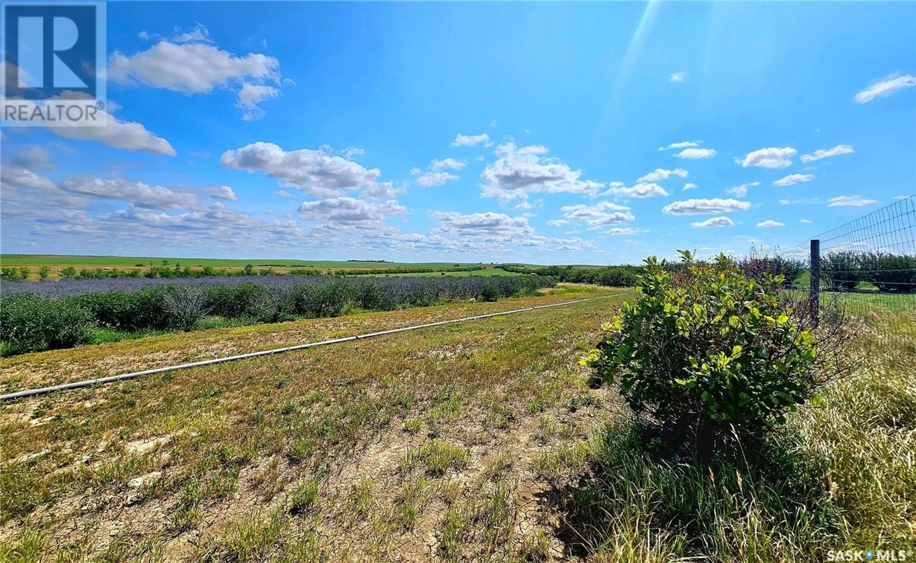 A pic from outside/outdoor area/front of a property/back of a property/a pic from drone, forest/trees view for Shackleton Acreage, Miry Creek Rm No. 229 Saskatchewan S0N0A0