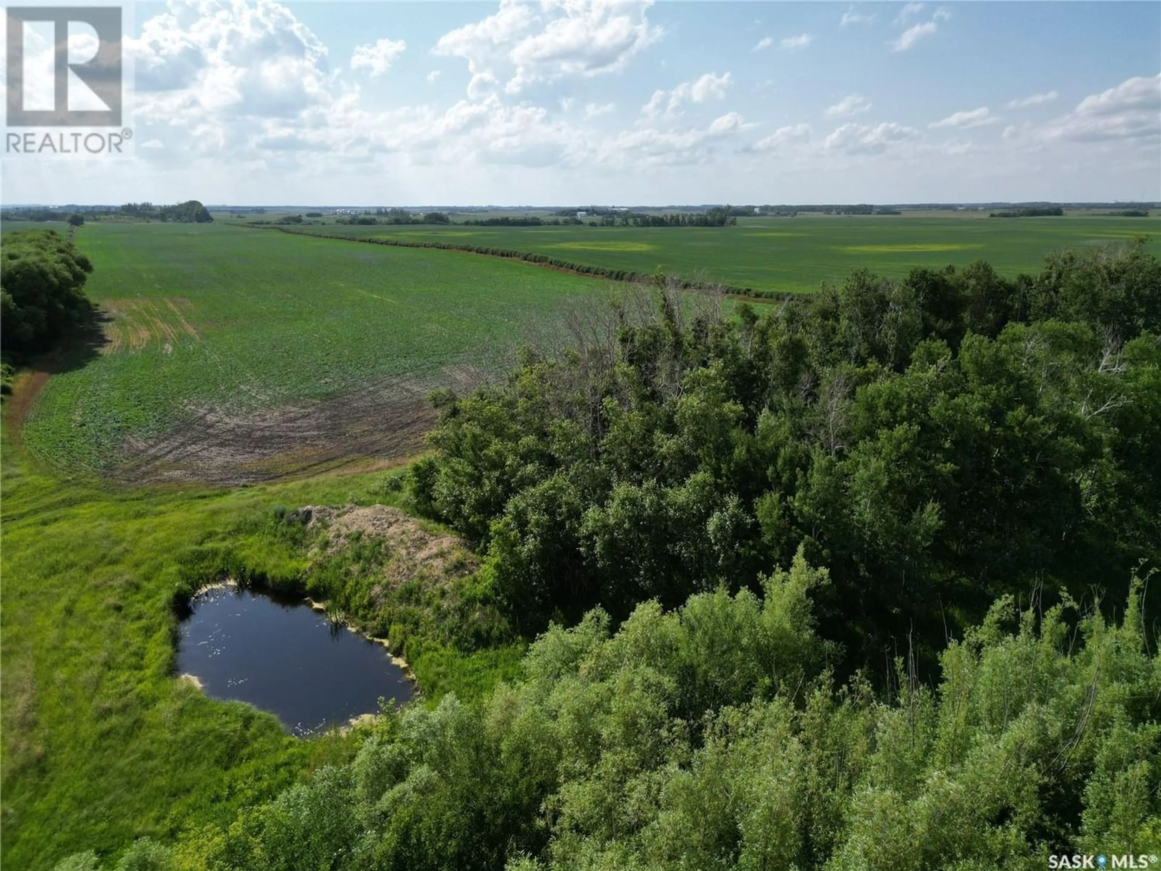 Forest view for Flaman/Vermette 16.11 Acreage, Cana Rm No. 214 Saskatchewan S0A2P0