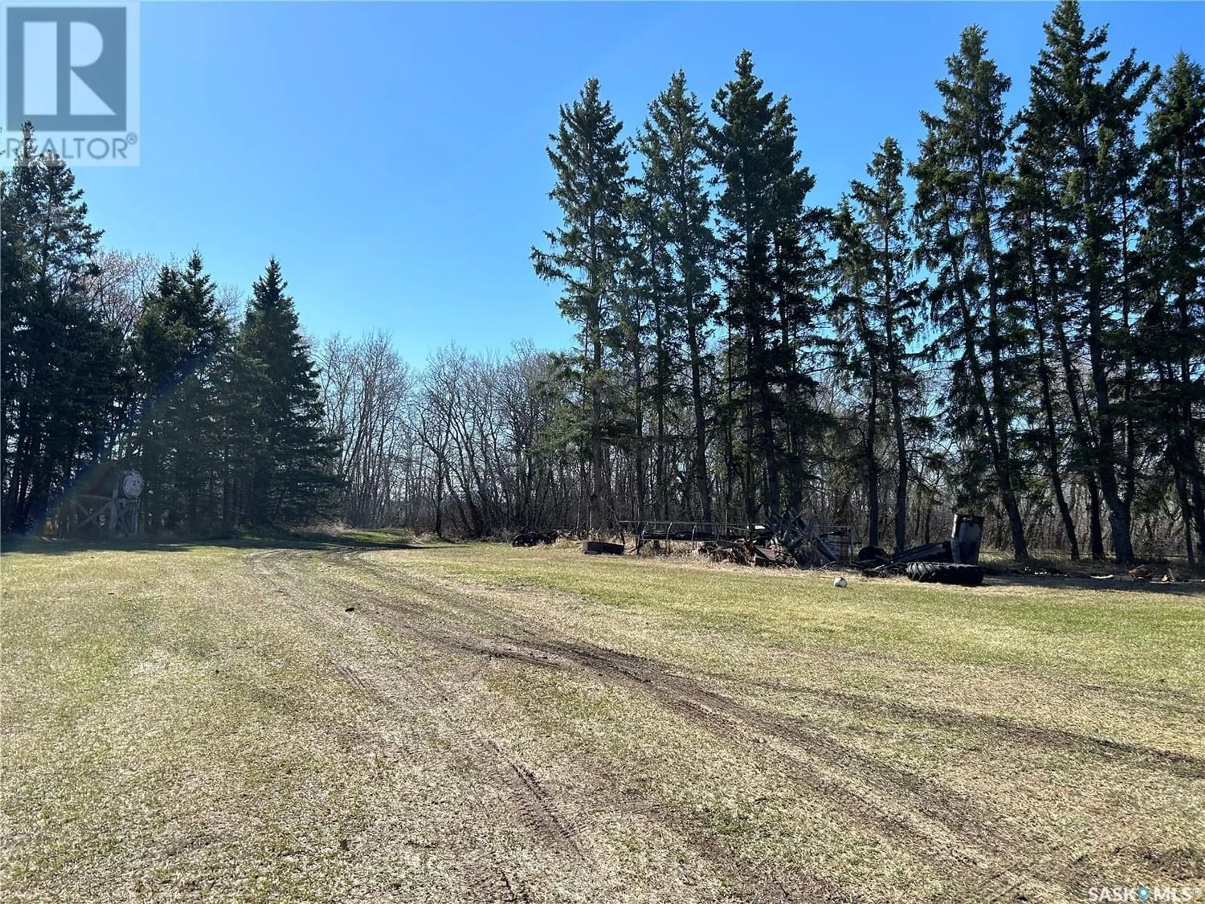 Forest view for Miller Acreage, Ponass Lake Rm No. 367 Saskatchewan S0E1M0