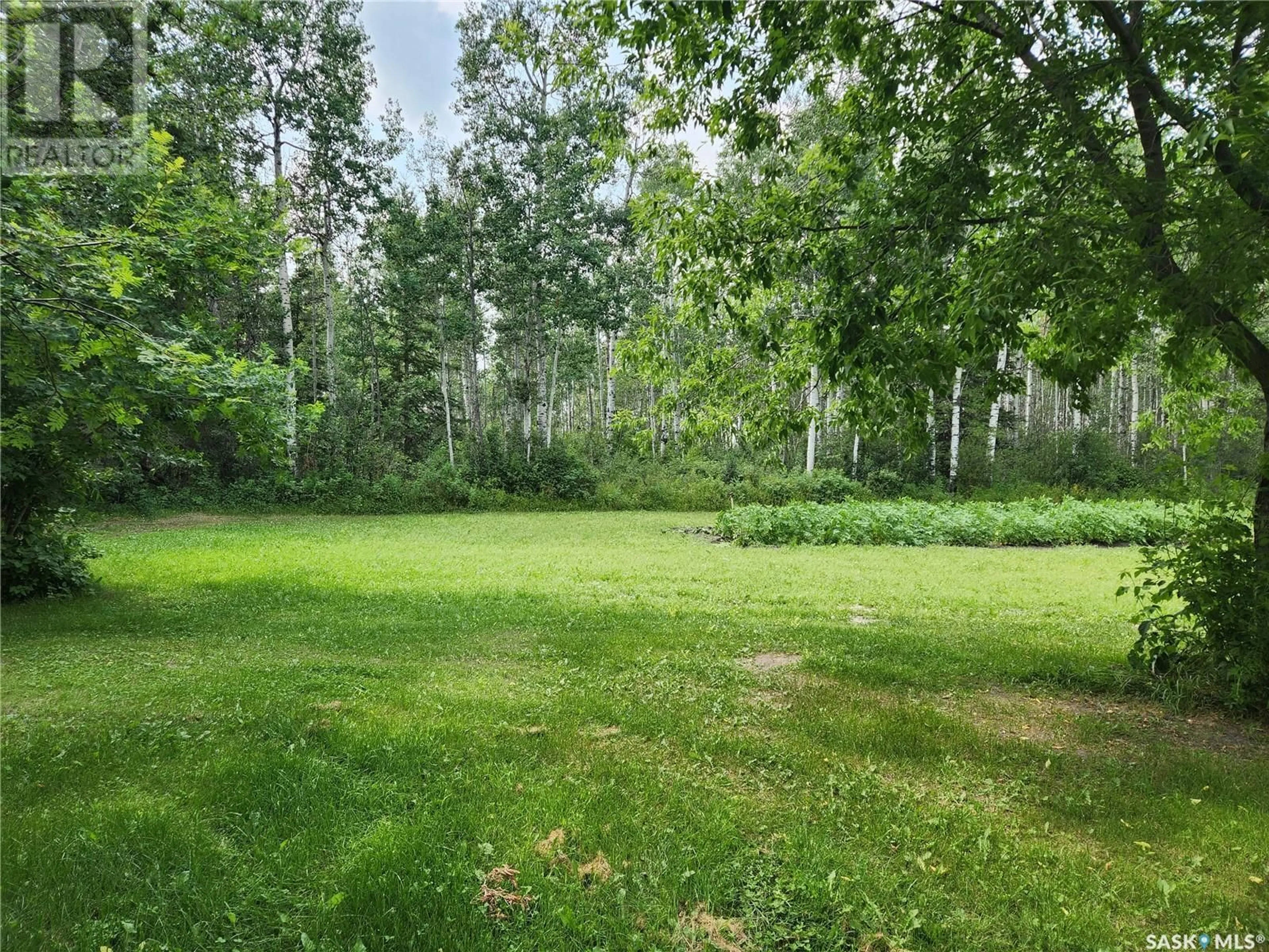 Forest view for Guest Quarter, Barrier Valley Rm No. 397 Saskatchewan S0E0B0