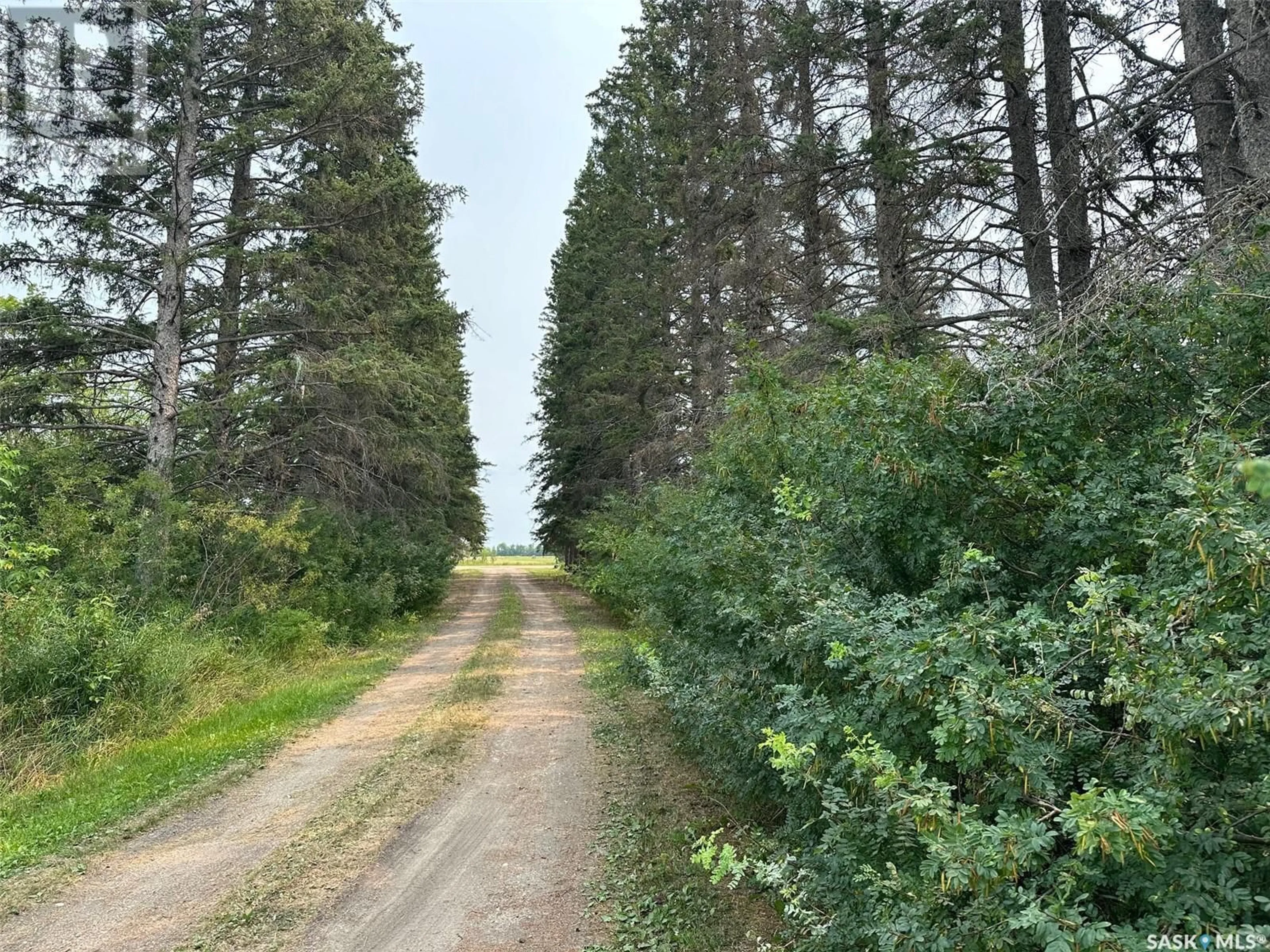 Forest view for Temple Land K, Hudson Bay Rm No. 394 Saskatchewan S0E0Y0