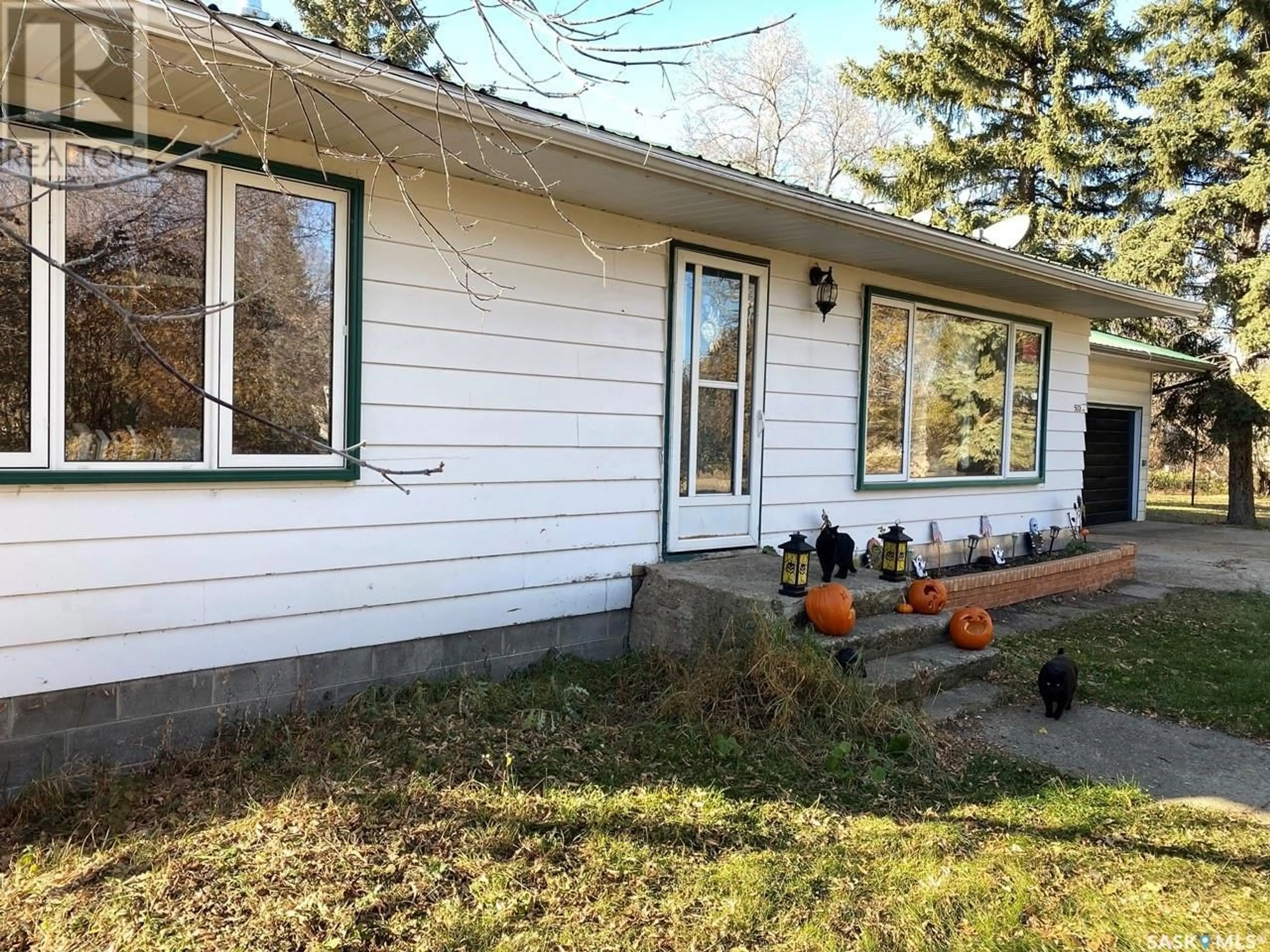 Frontside or backside of a home, cottage for 503 5th STREET, Frobisher Saskatchewan S0C0Y0