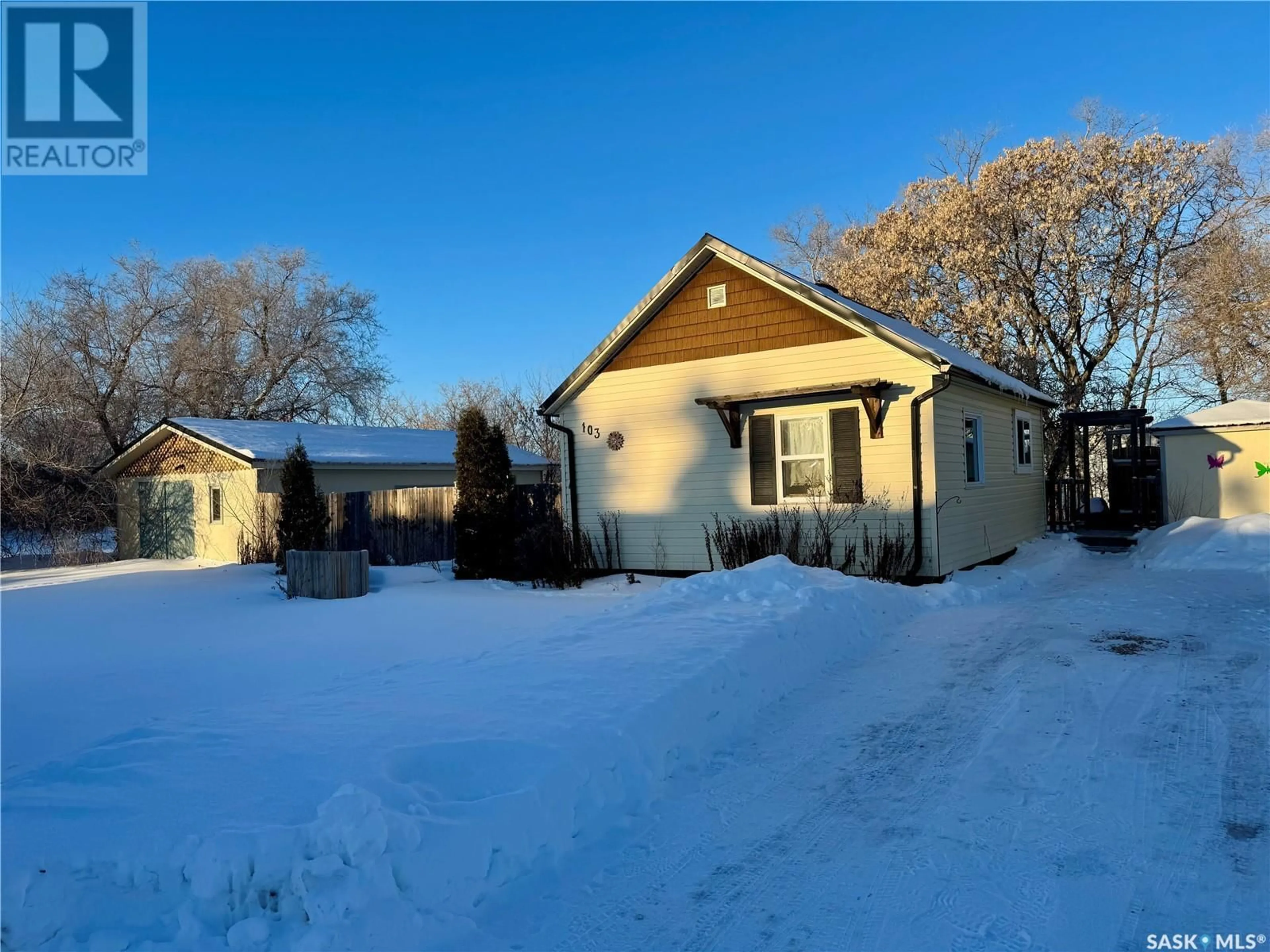 A pic from outside/outdoor area/front of a property/back of a property/a pic from drone, street for 103 Margaret STREET, Bulyea Saskatchewan S0G0L0