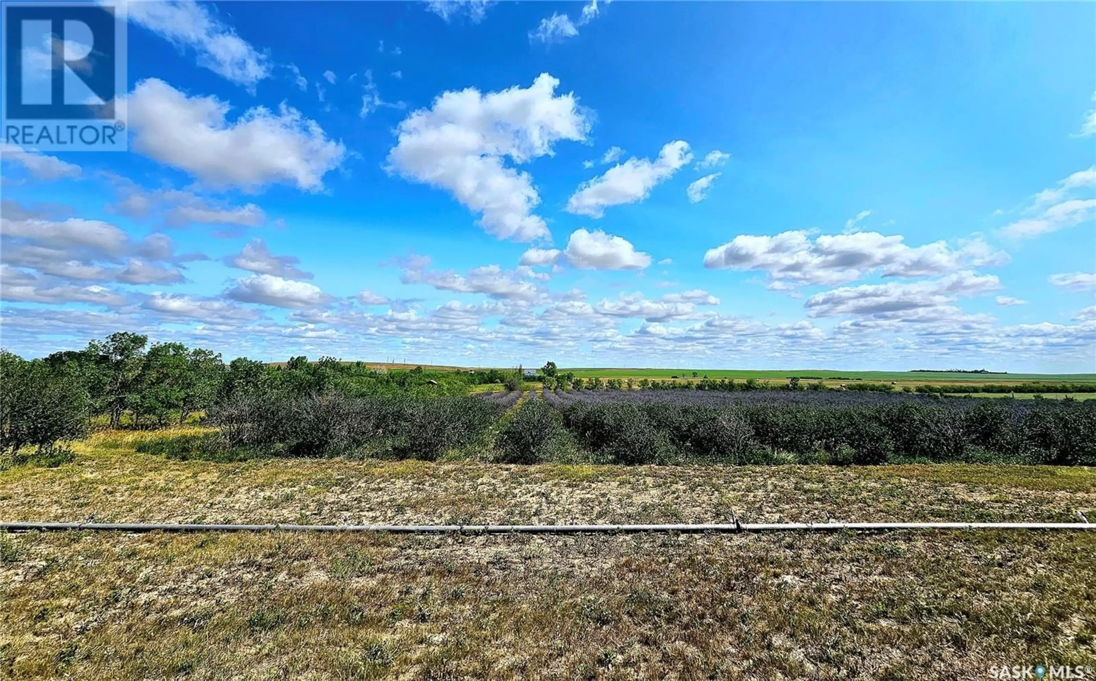 A pic from outside/outdoor area/front of a property/back of a property/a pic from drone, forest/trees view for 40+ Acres, Miry Creek Rm No. 229 Saskatchewan S0N0A0