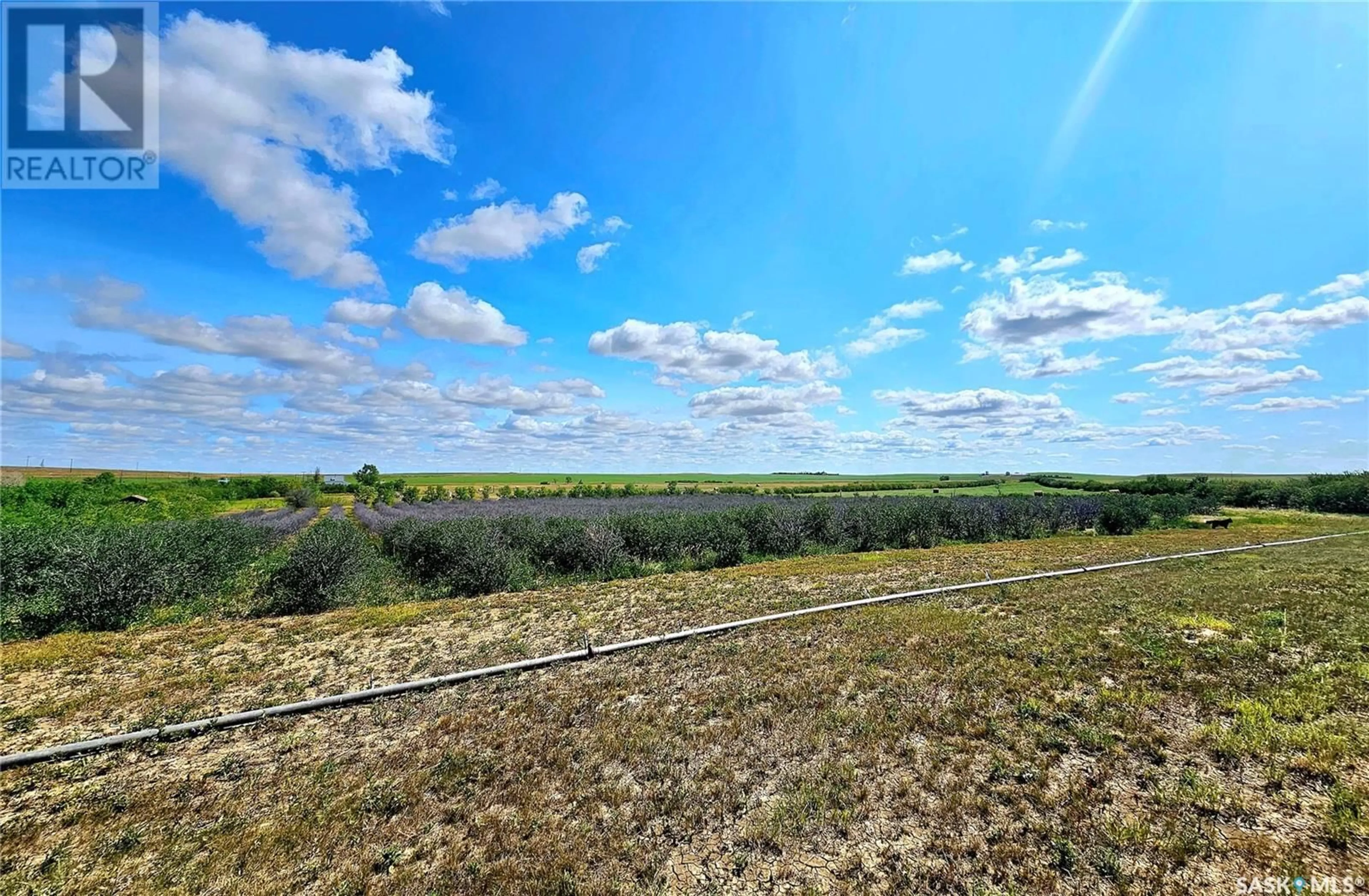 A pic from outside/outdoor area/front of a property/back of a property/a pic from drone, forest/trees view for 40+ Acres, Miry Creek Rm No. 229 Saskatchewan S0N0A0