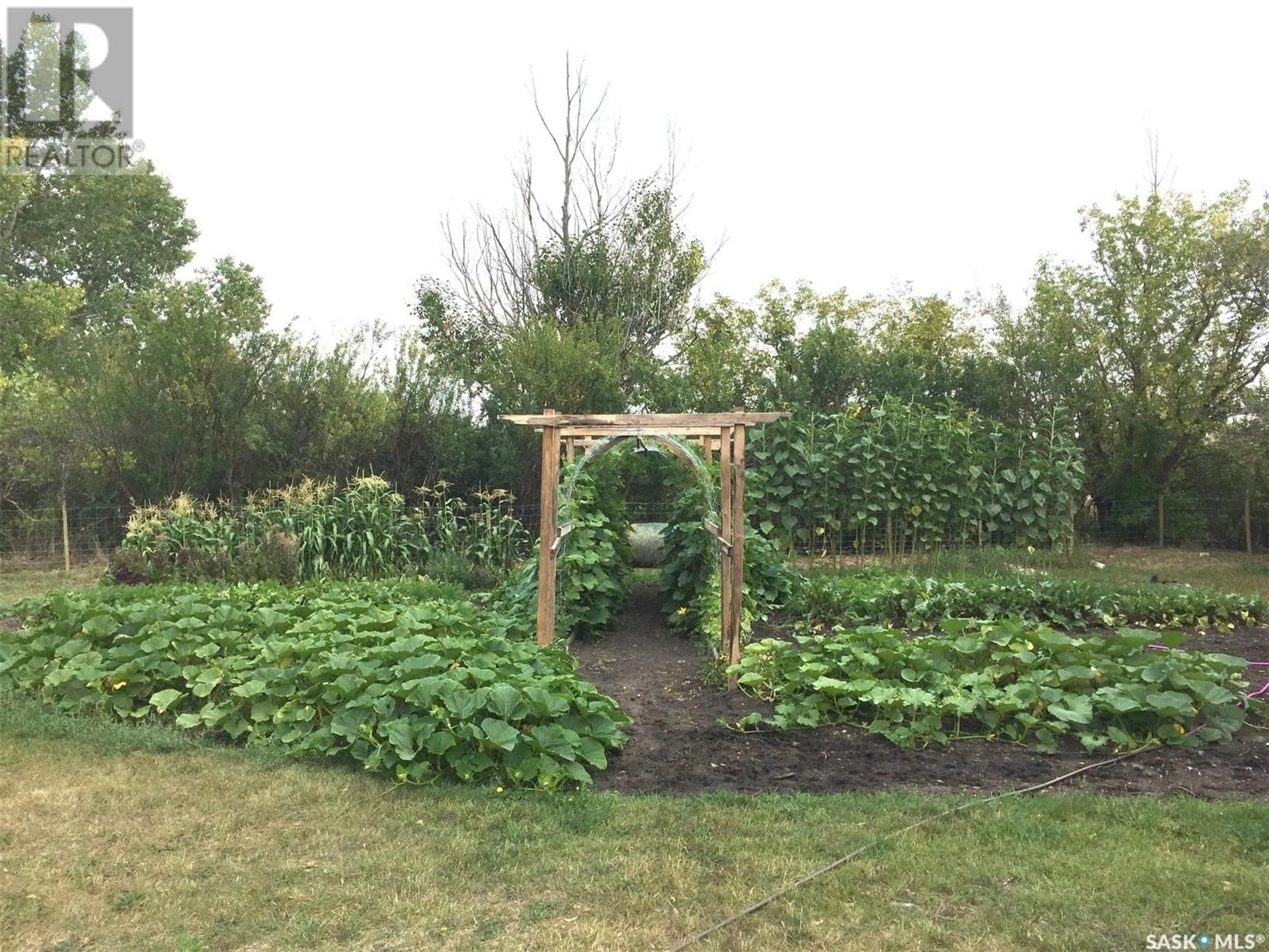 A pic from outside/outdoor area/front of a property/back of a property/a pic from drone, street for 9 DAY STREET, Tyvan Saskatchewan S0G4X0