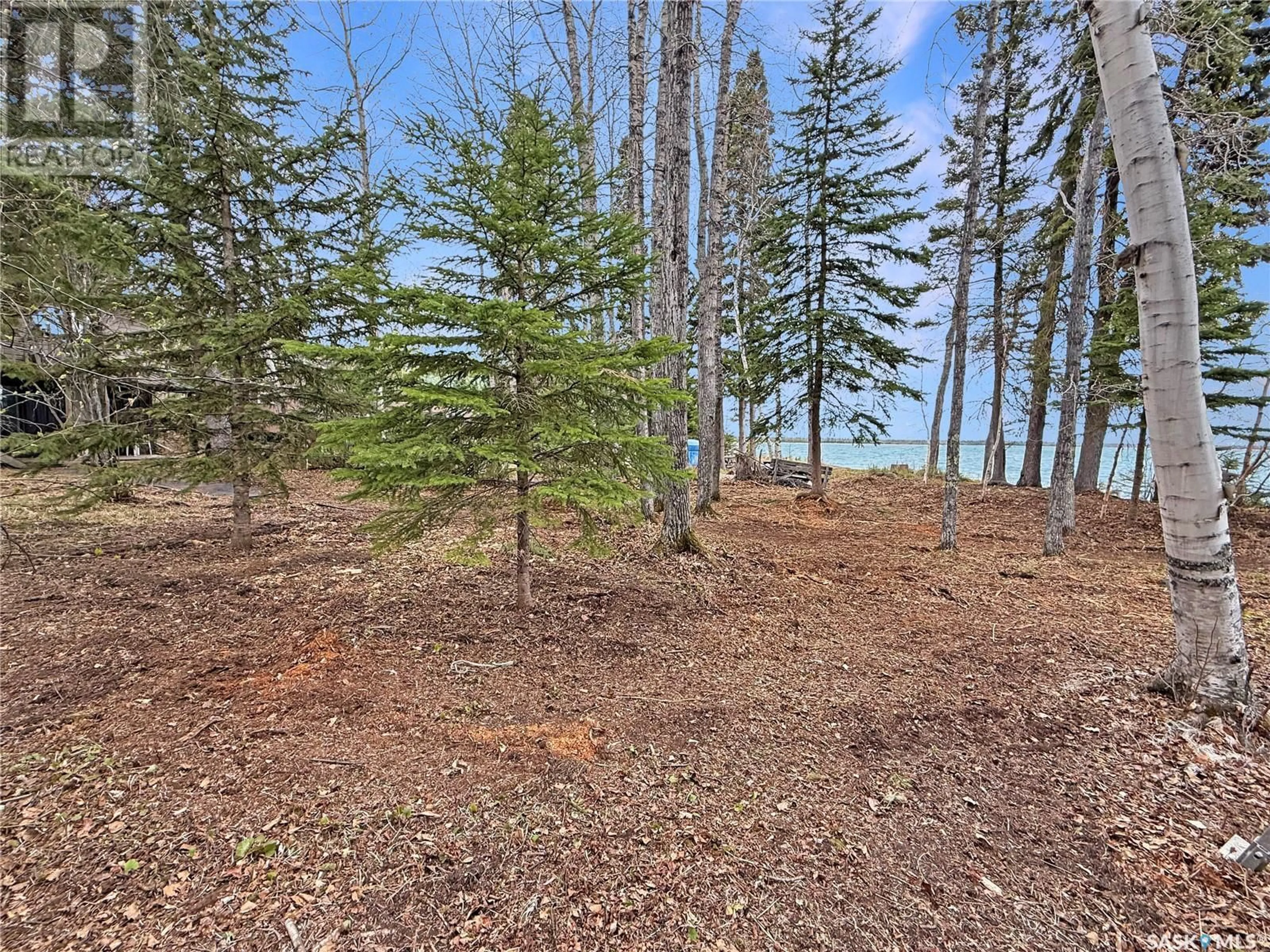 A pic from outside/outdoor area/front of a property/back of a property/a pic from drone, forest/trees view for 8 BESKAL PLACE, Candle Lake Saskatchewan S0J3E0