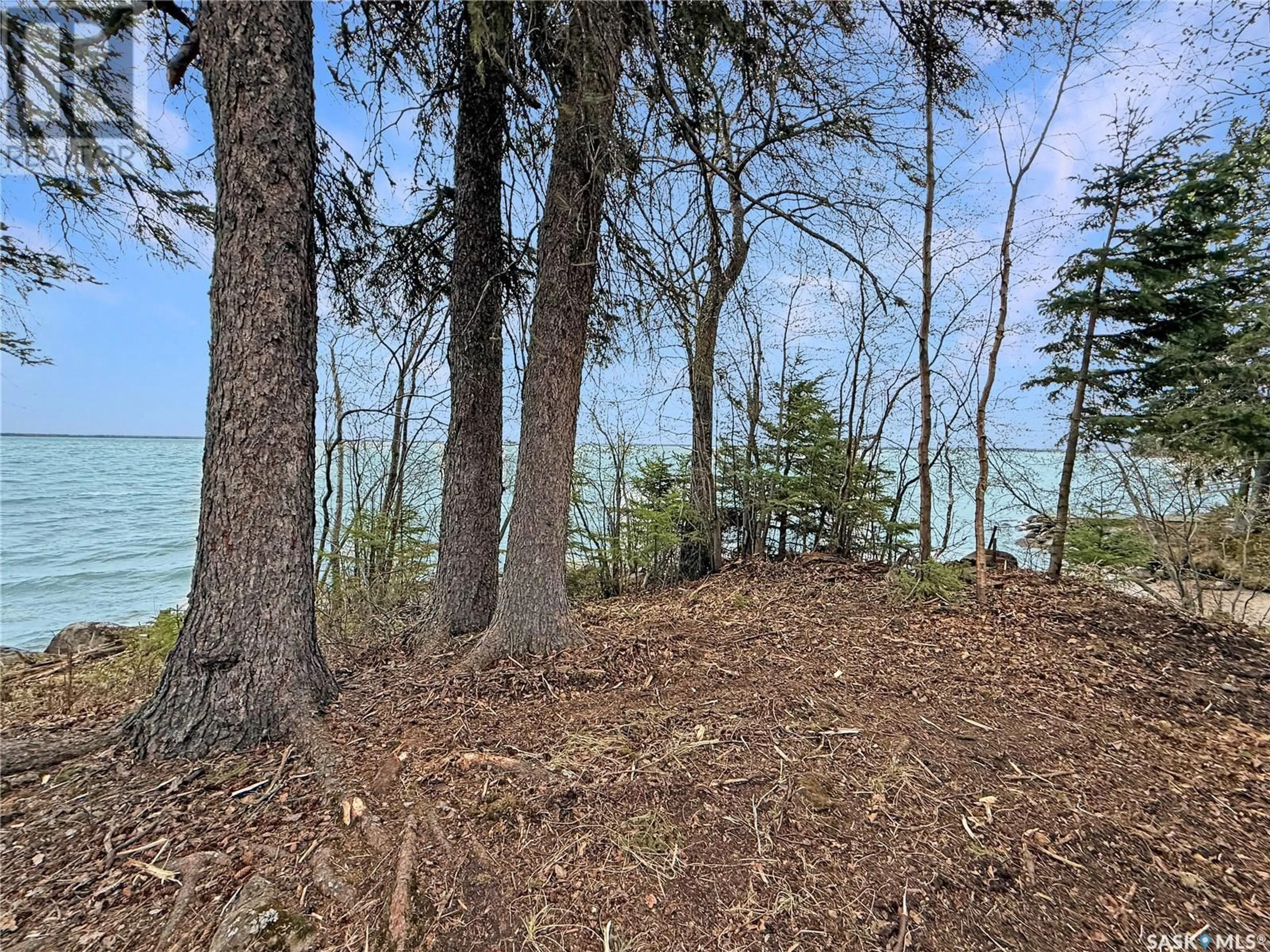 A pic from outside/outdoor area/front of a property/back of a property/a pic from drone, forest/trees view for 8 BESKAL PLACE, Candle Lake Saskatchewan S0J3E0