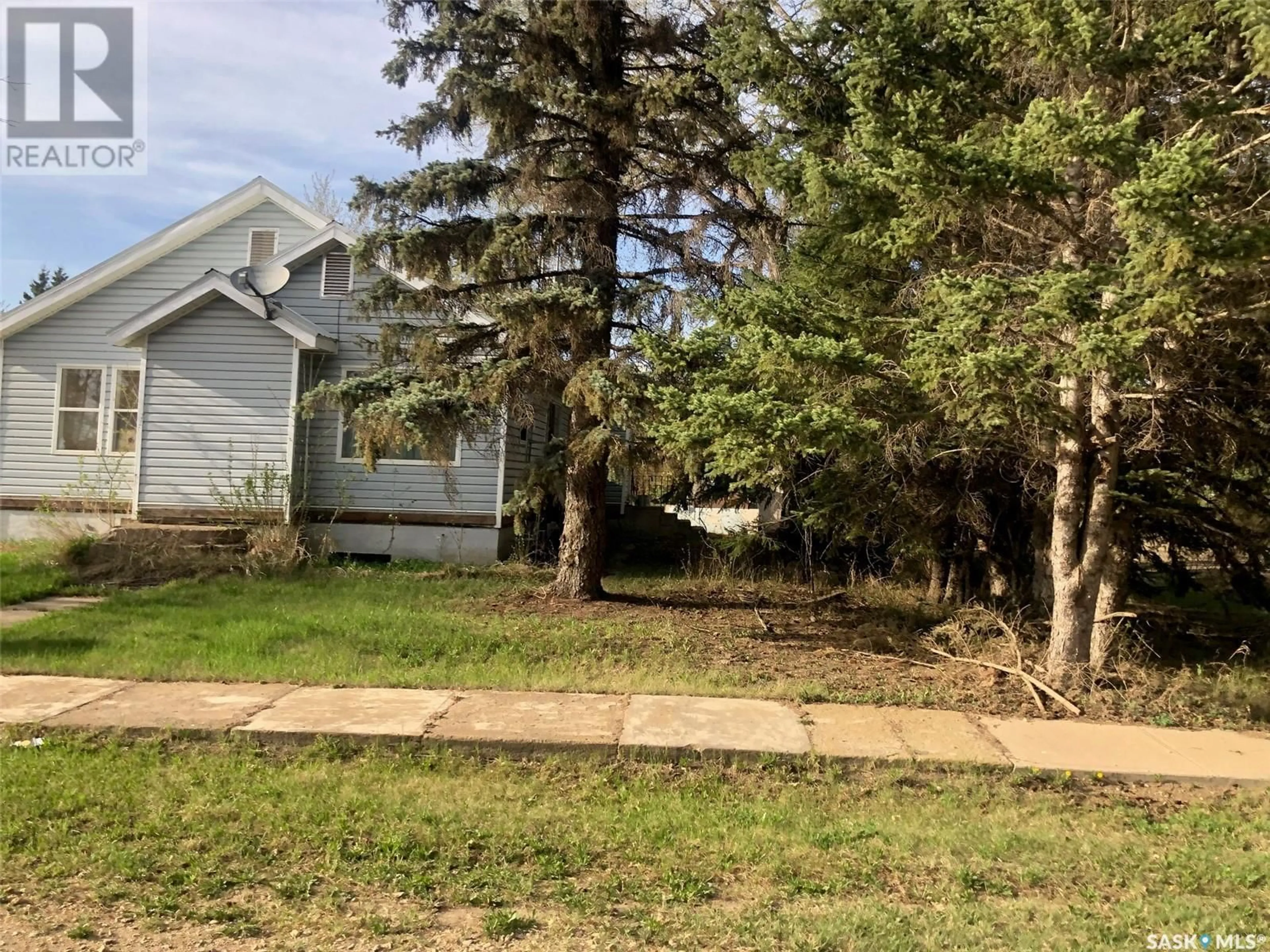 A pic from outside/outdoor area/front of a property/back of a property/a pic from drone, street for 19 1ST AVENUE, Hyas Saskatchewan S0A1K0