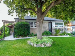 history photo preview