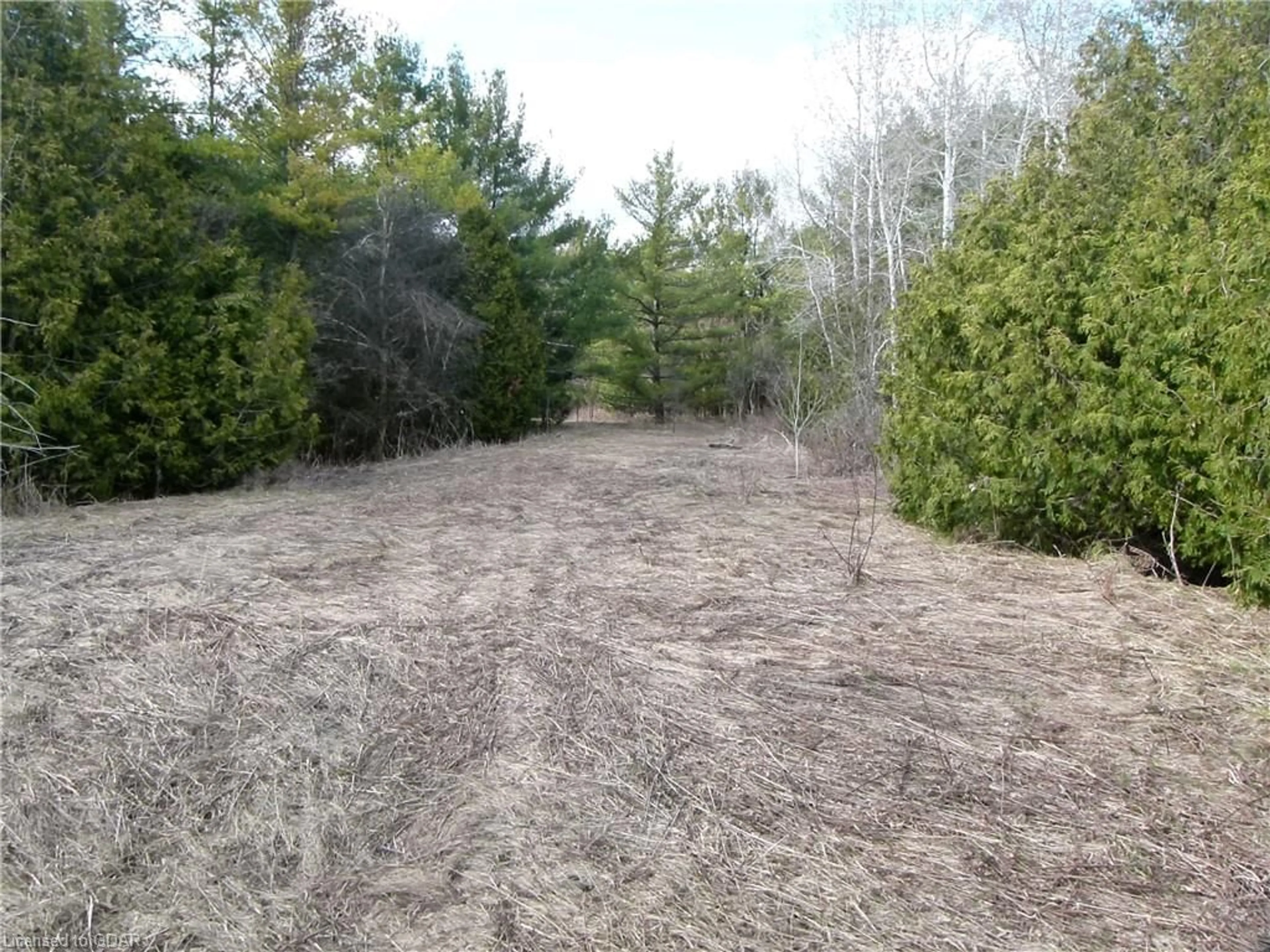 Forest view for 8256 Highway 7 Hwy, Eramosa Ontario N0B 2K0