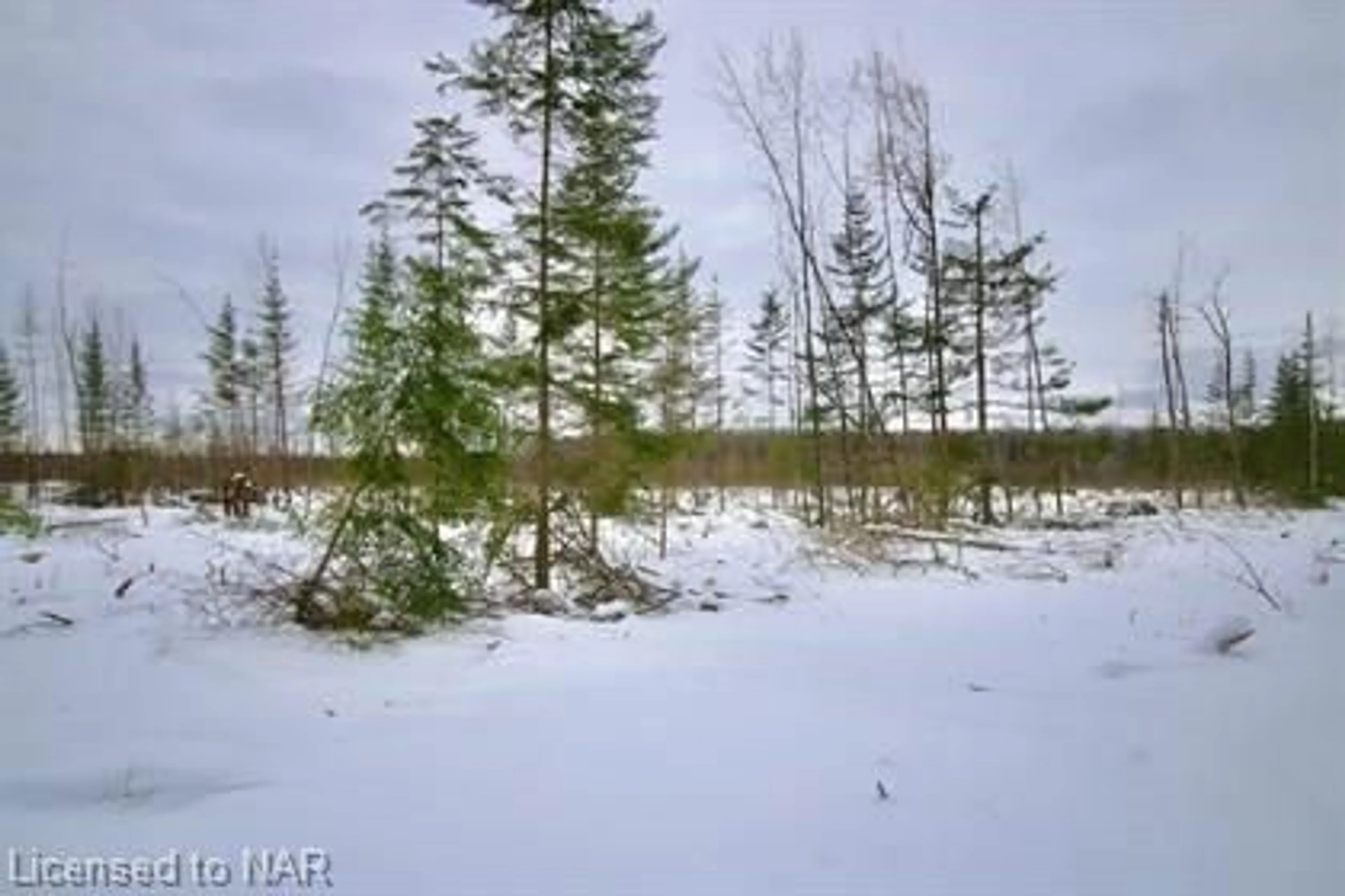 itso/IMG-40226234_1.jpg