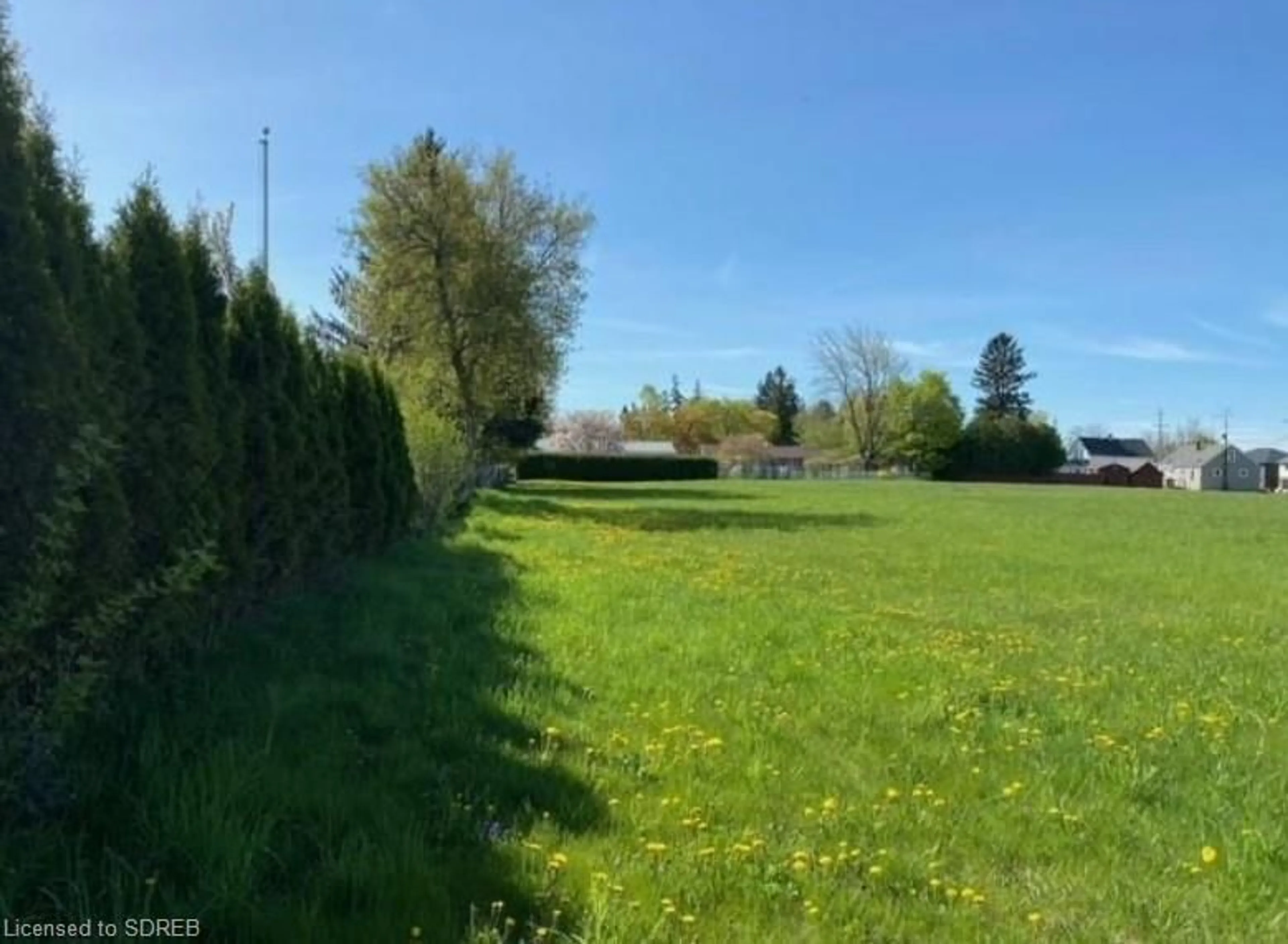 Fenced yard for N/A Main St, Waterford Ontario N0E 1Y0