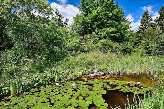 244 Fairbairn Rd, Bobcaygeon 4