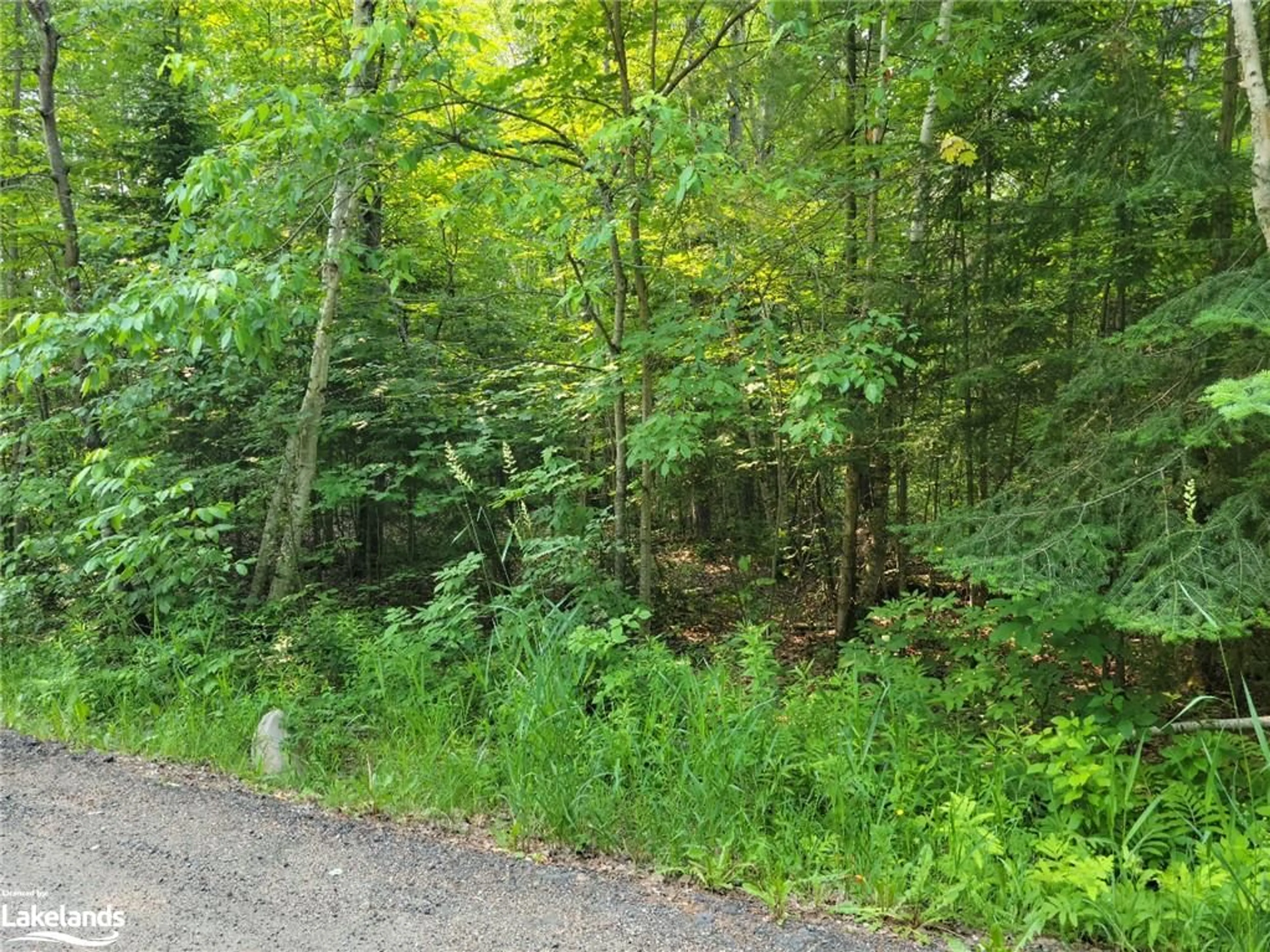 Forest view for 29 Mount Vernon Trail #29, Huntsville Ontario P1H 1E3