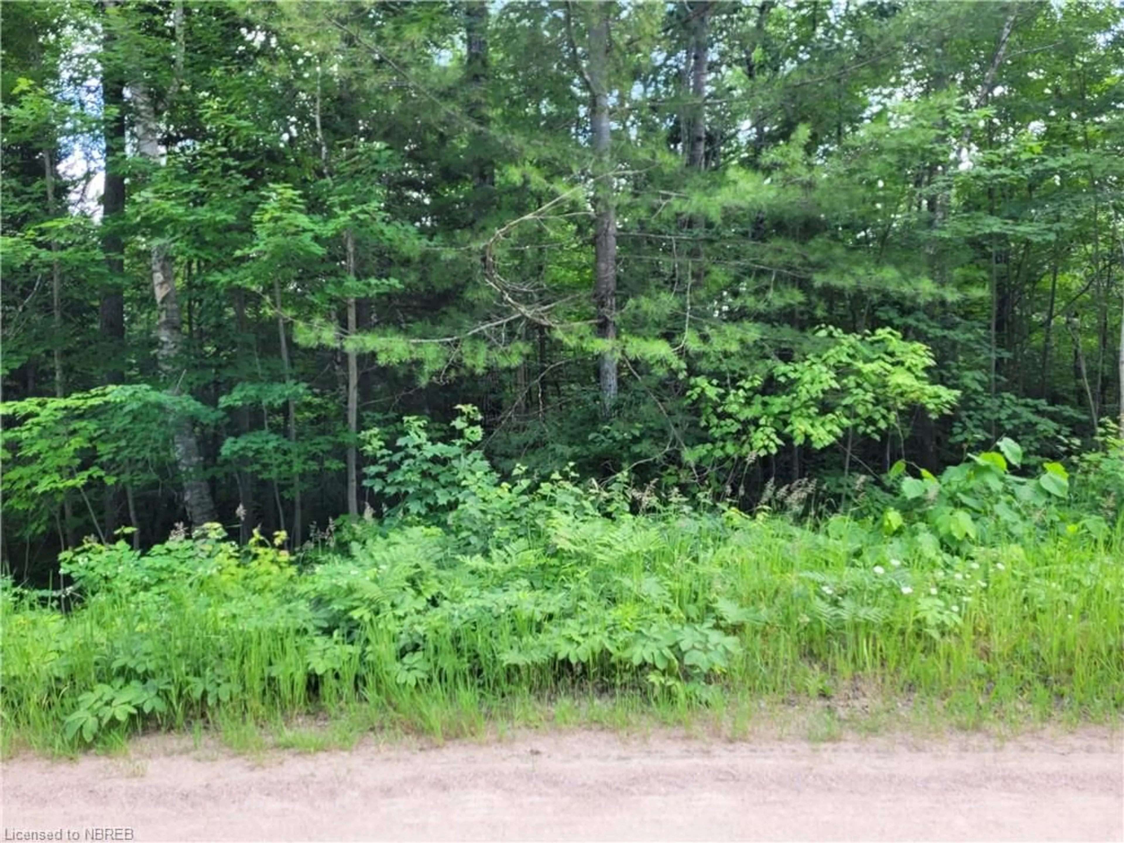 Forest view for LOT 18 Shields Point Rd, Bonfield Ontario P0H 2E0