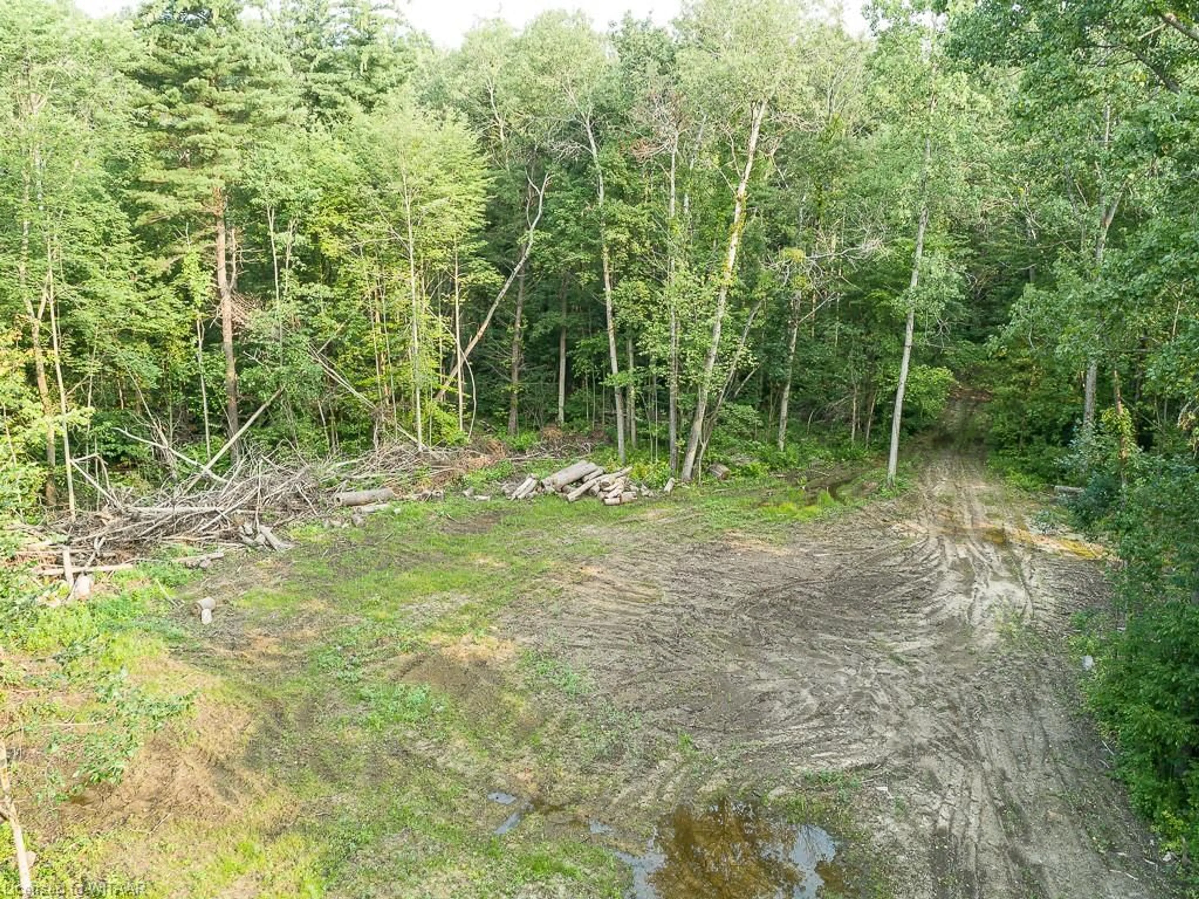 A pic of a room, not visible floor for PT LT 21 Charlotteville 7 Rd, Norfolk County Ontario N3Y 4X5