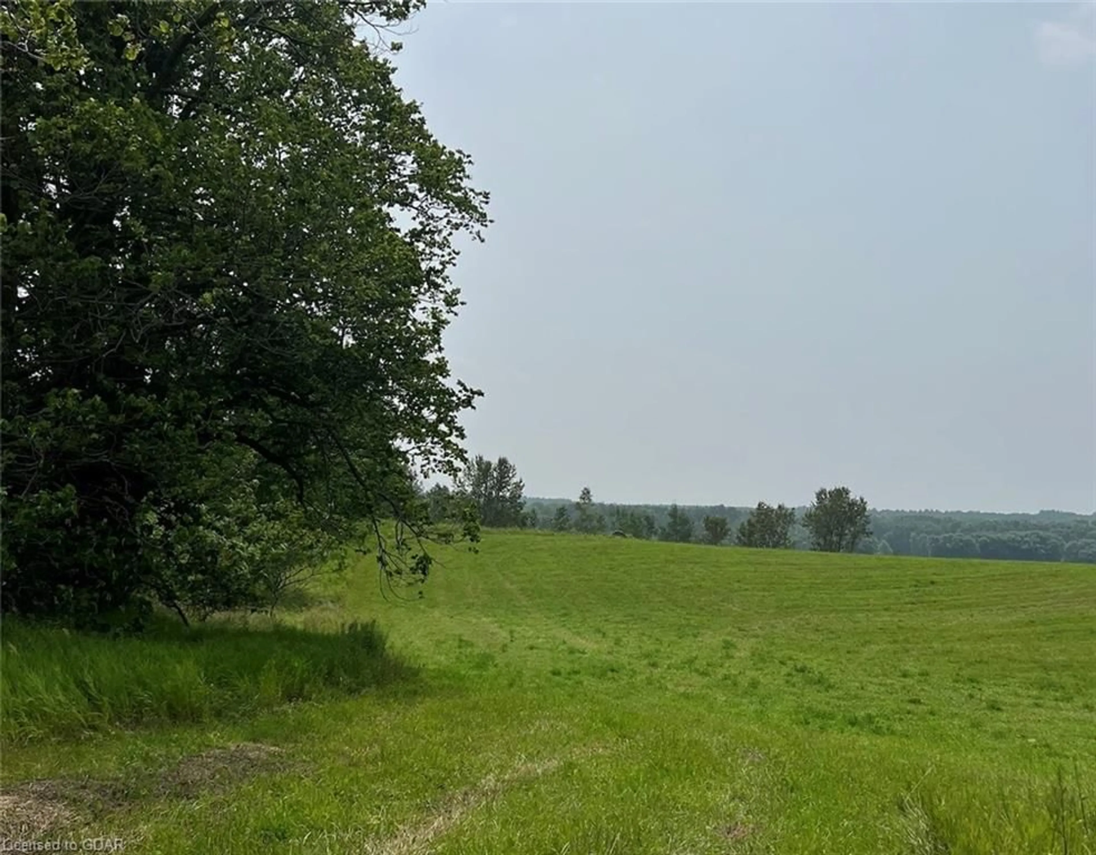 Forest view for 6671 County Rd 9, Clearview Ontario L0M 1G0