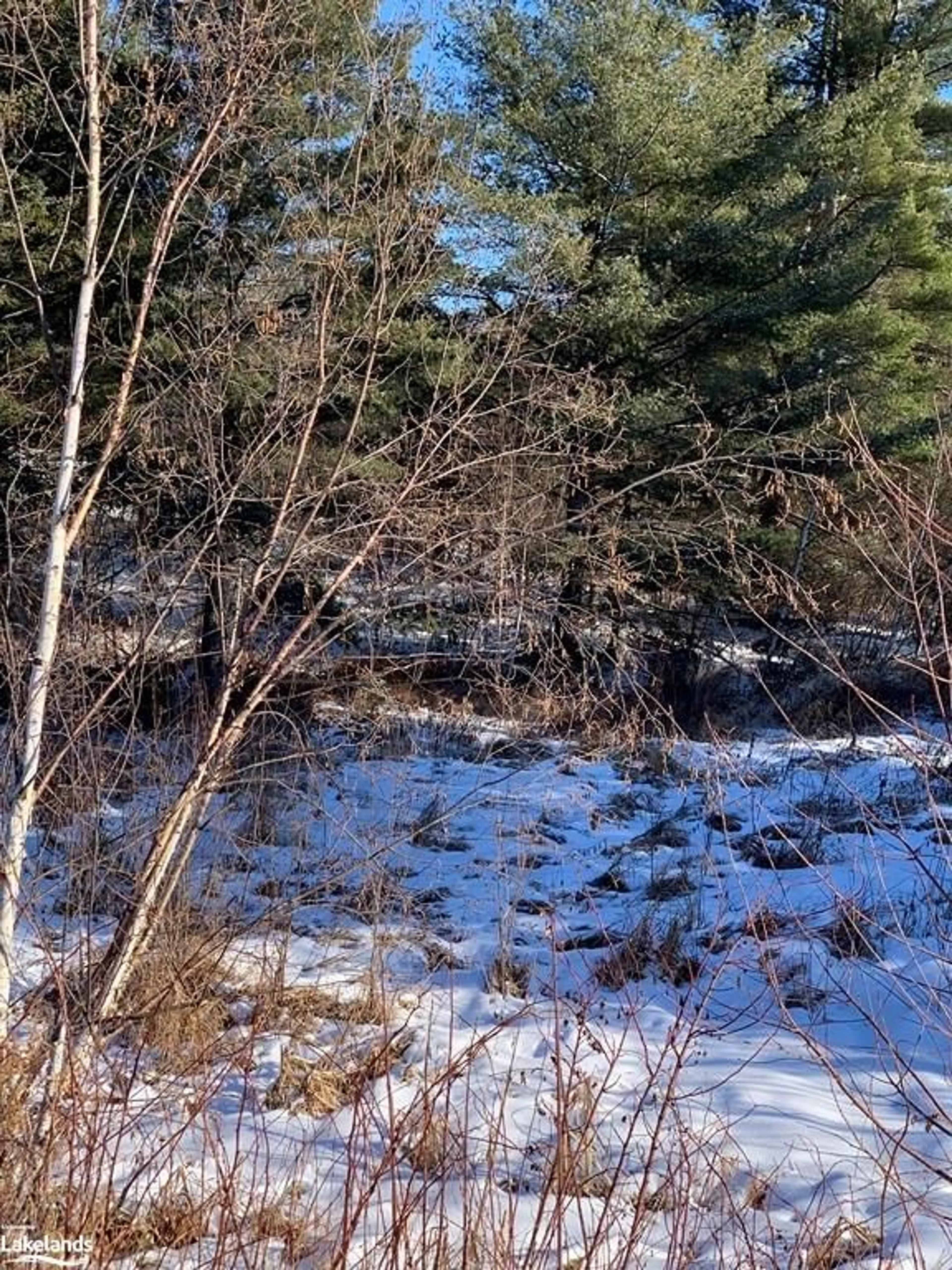 Forest view for LOT 6 Riverview Dr, Alban Ontario P0M 1A0
