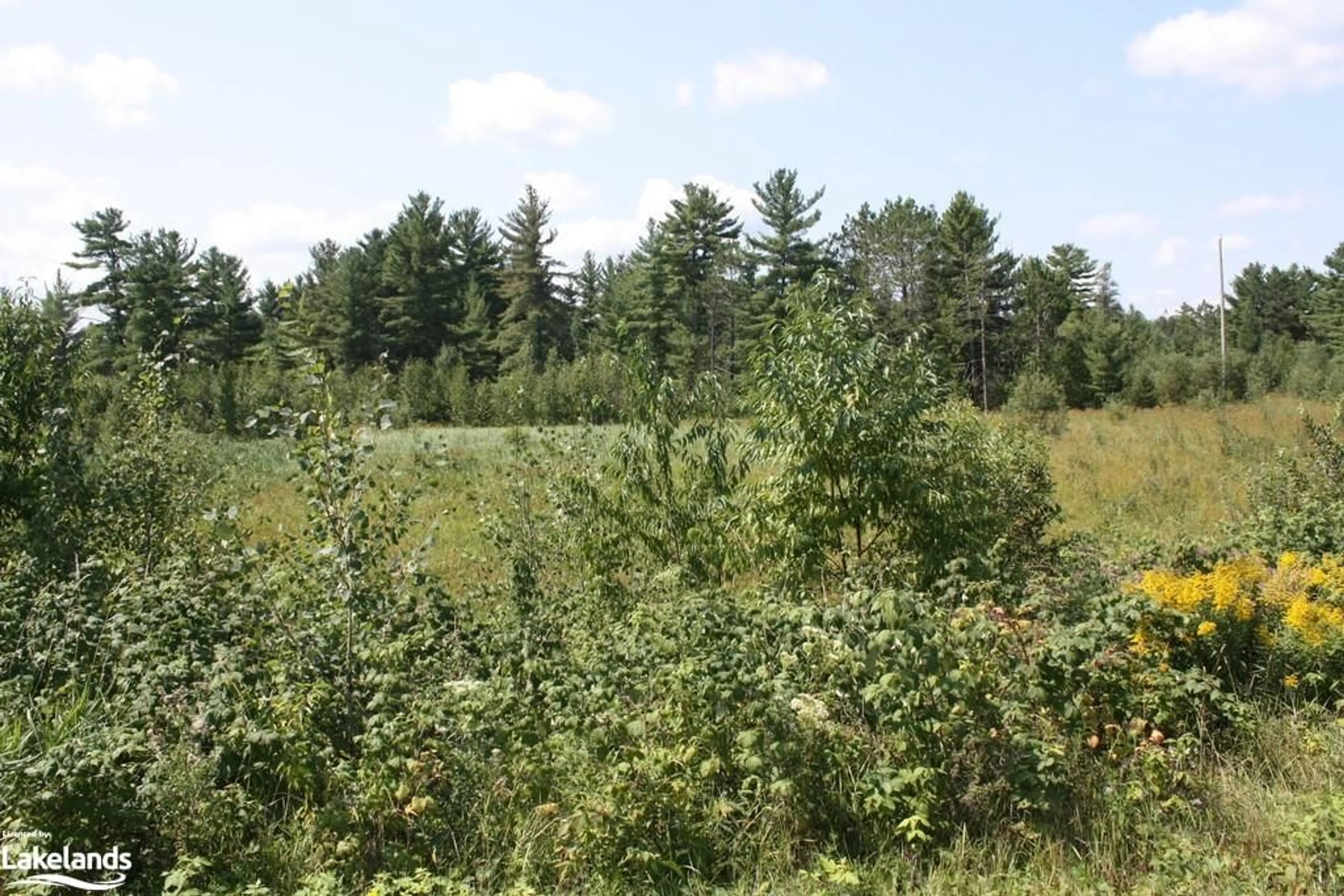 Forest view for LOT 6 Riverview Dr, Alban Ontario P0M 1A0