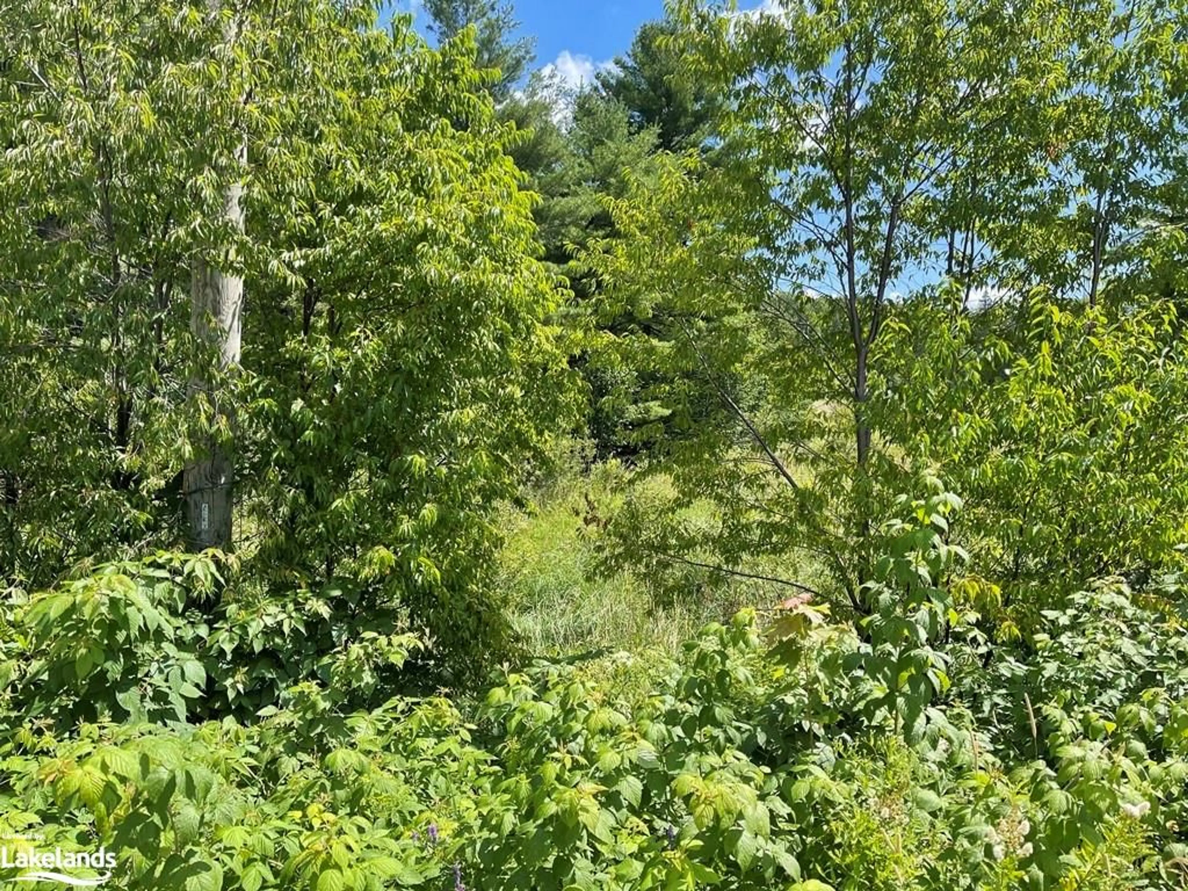 A pic from exterior of the house or condo, the fenced backyard for LOT 6 Riverview Dr, Alban Ontario P0M 1A0