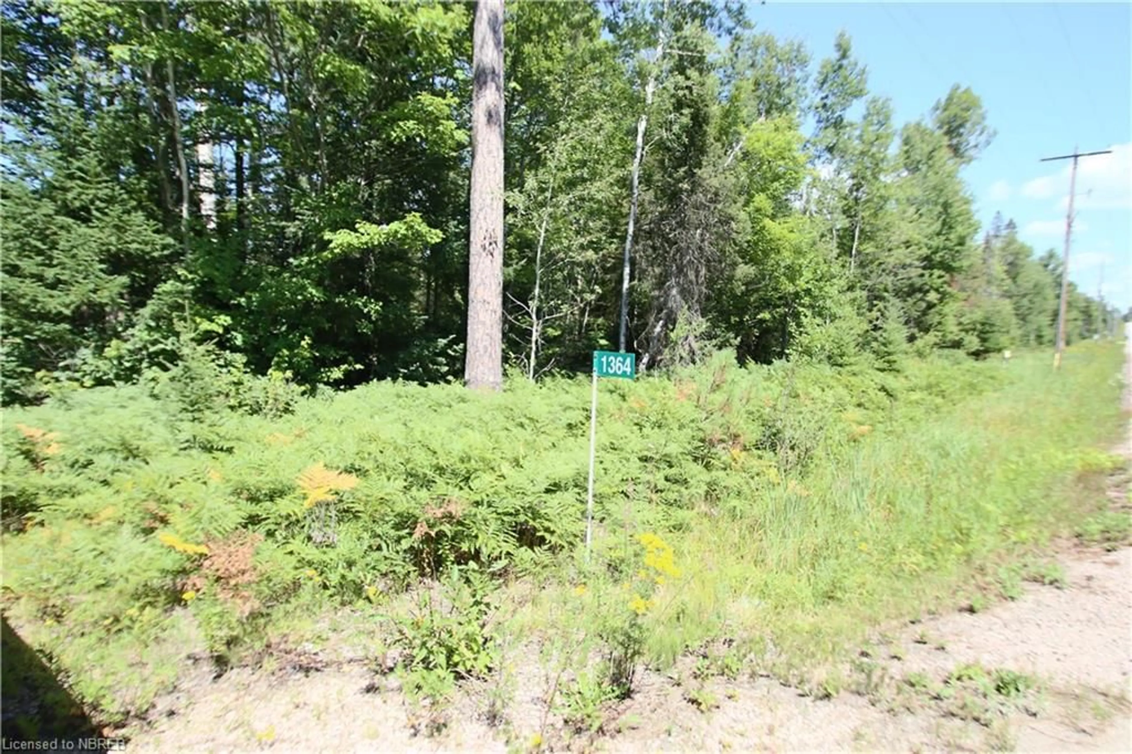 Forest view for 1364 Hwy 654, Callander Ontario P0H 1H0