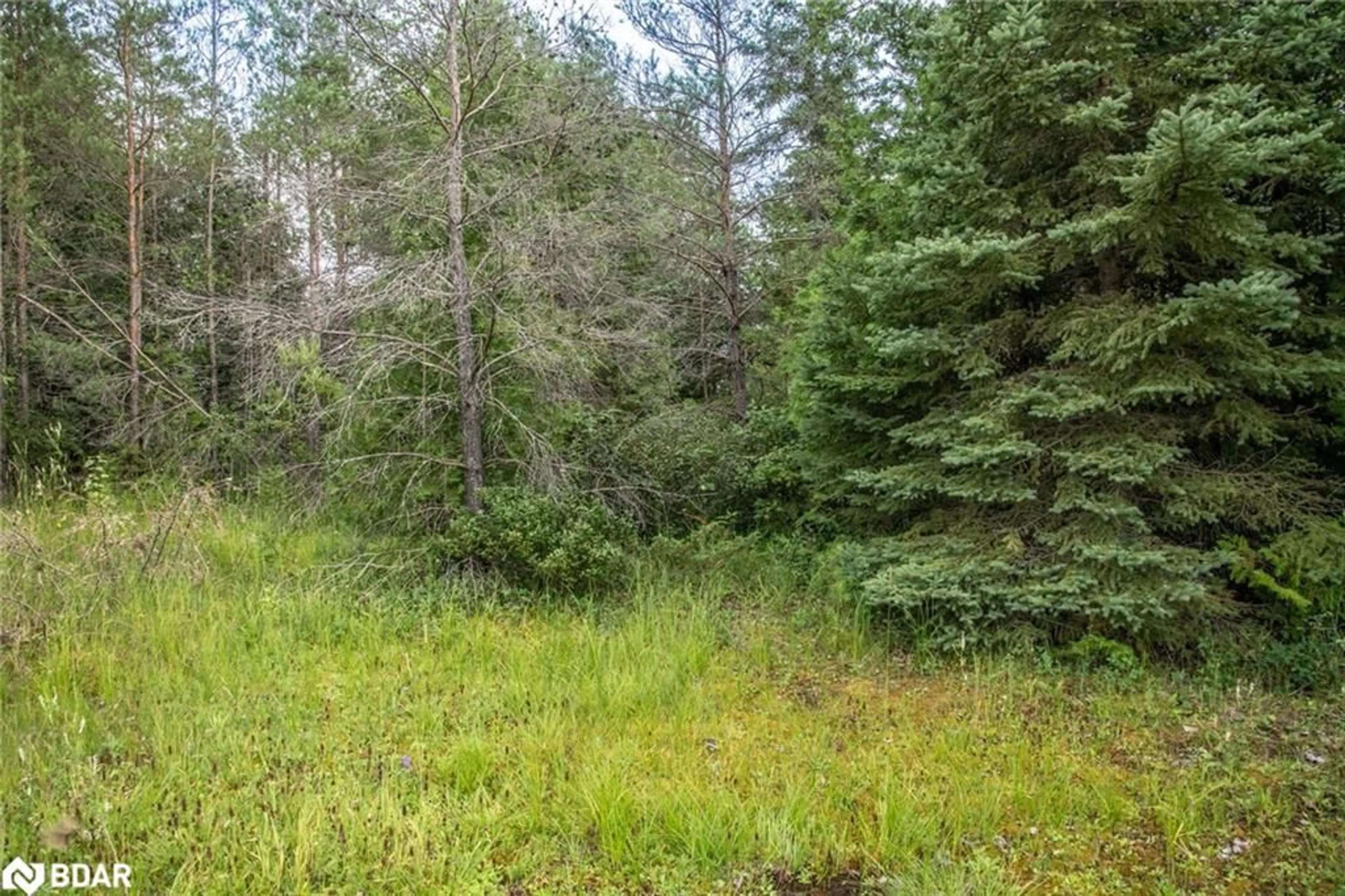 Patio, forest for LOT 250 Mcguire Beach Rd, Kawartha Lakes Ontario K0M 2B0