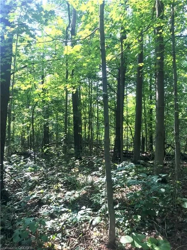 Additional property image - 5163 Milburough Line