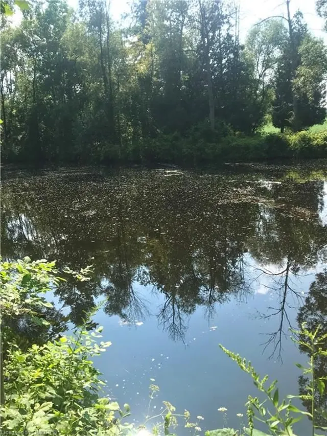 Additional property image - 5163 Milburough Line