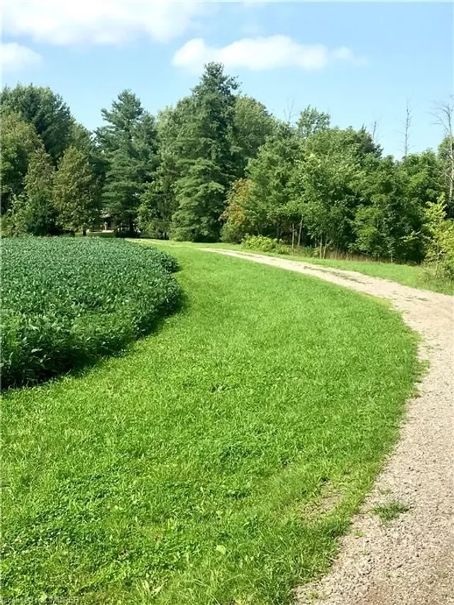 Additional property image - 5163 Milburough Line