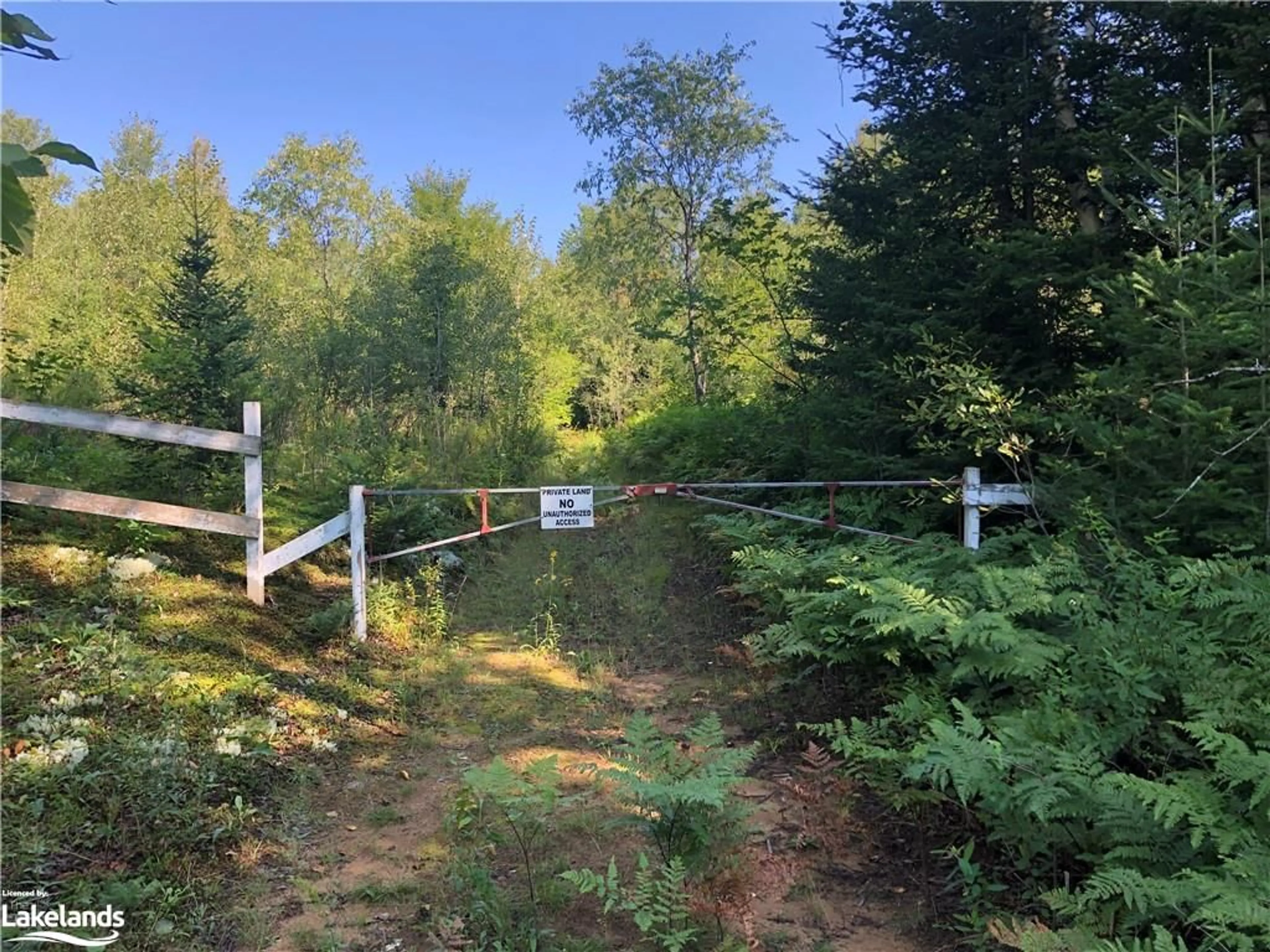 Fenced yard for LOT 6-10 Moon Rd, Haliburton Ontario K0M 1S0