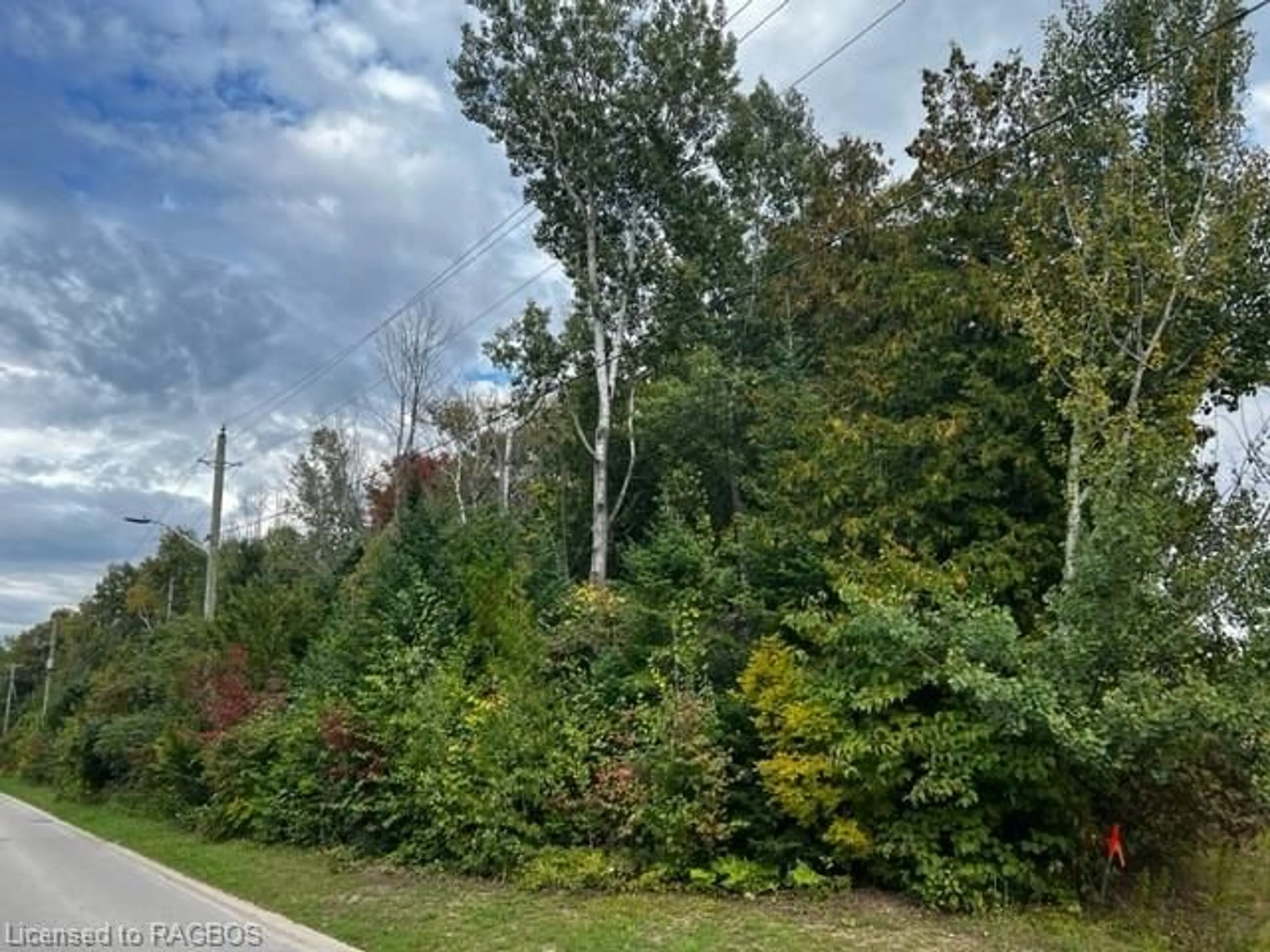 Forest view for 1 Shore Rd, Southampton Ontario N0H 2L0