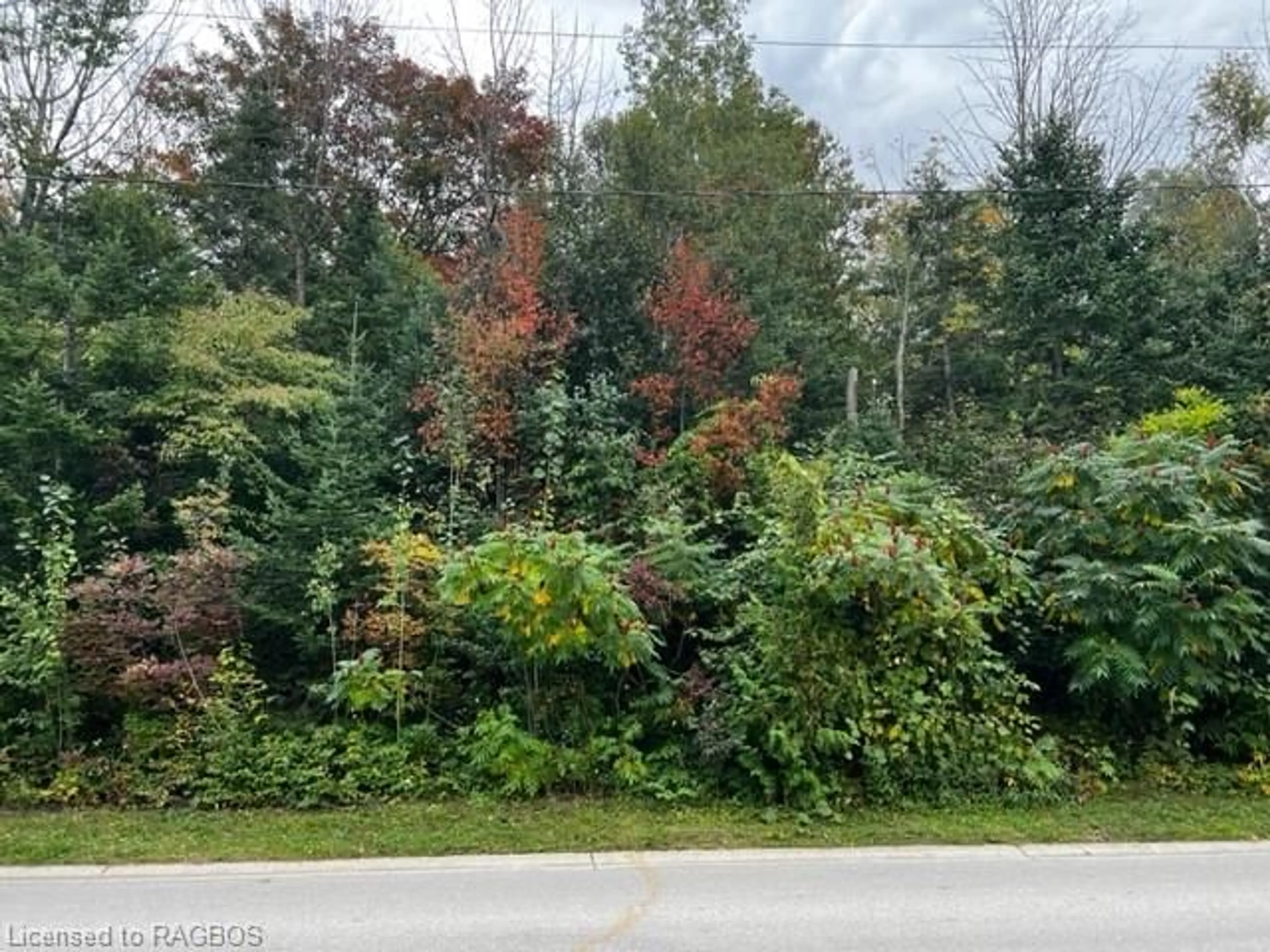 Forest view for 2 Shore Rd, Southampton Ontario N0H 2L0