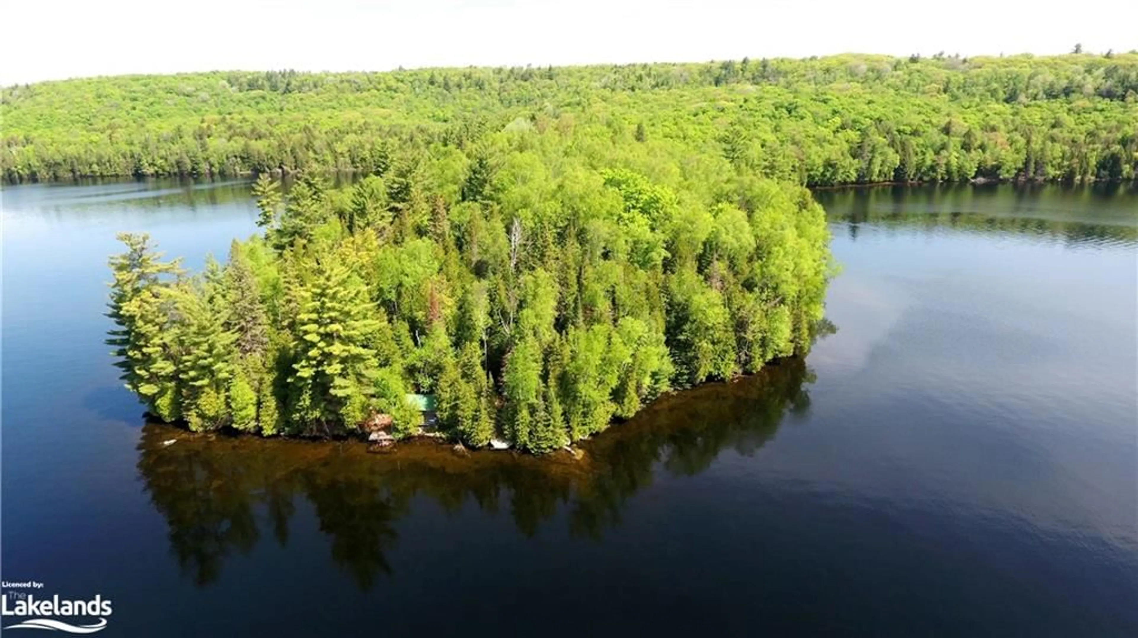 Lakeview for 11045 Grace Lake - North Shore, Wilberforce Ontario K0L 3C0