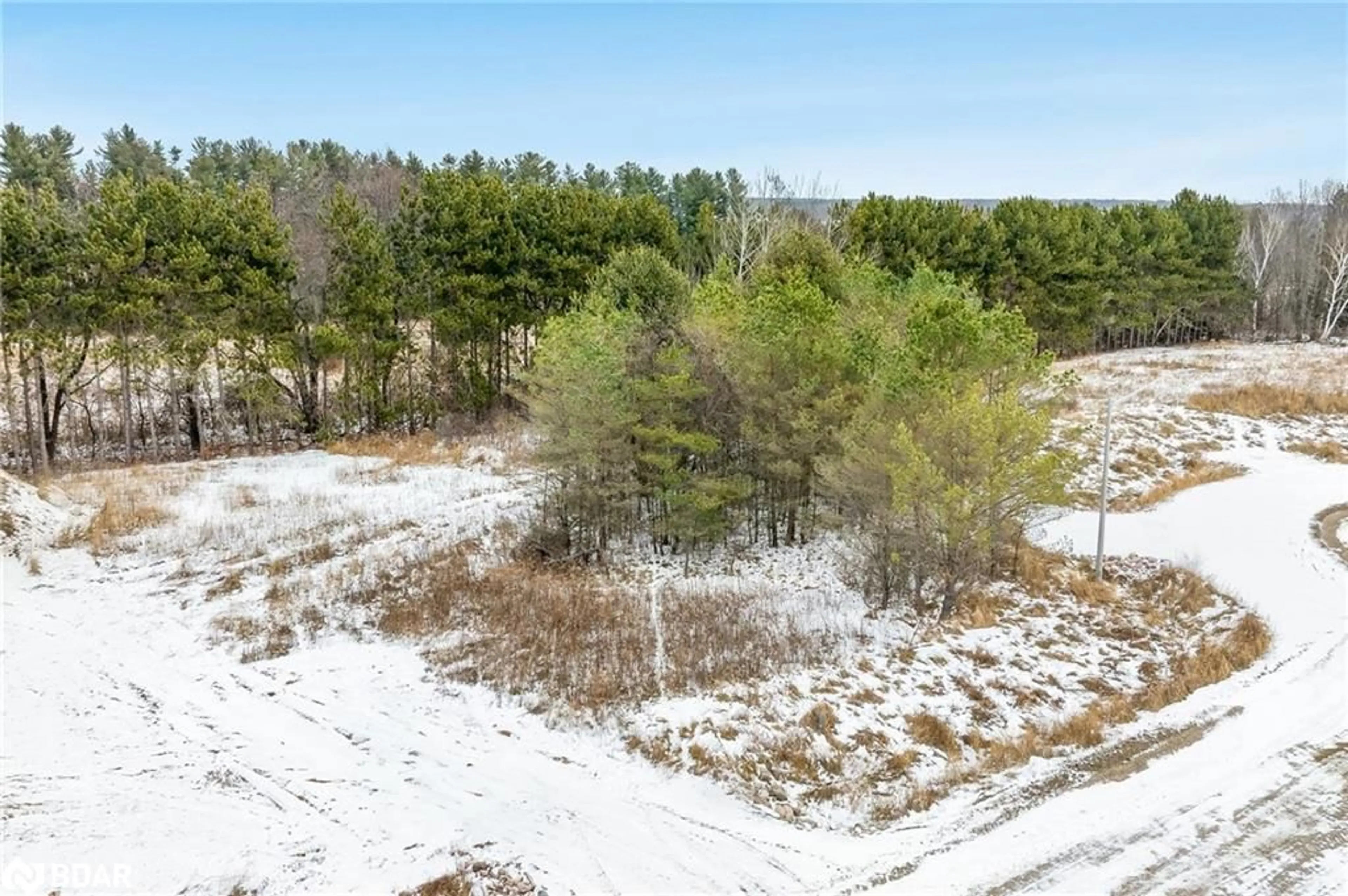 Forest view for LOT 23 Rue Eric, Tiny Ontario L9M 0H1