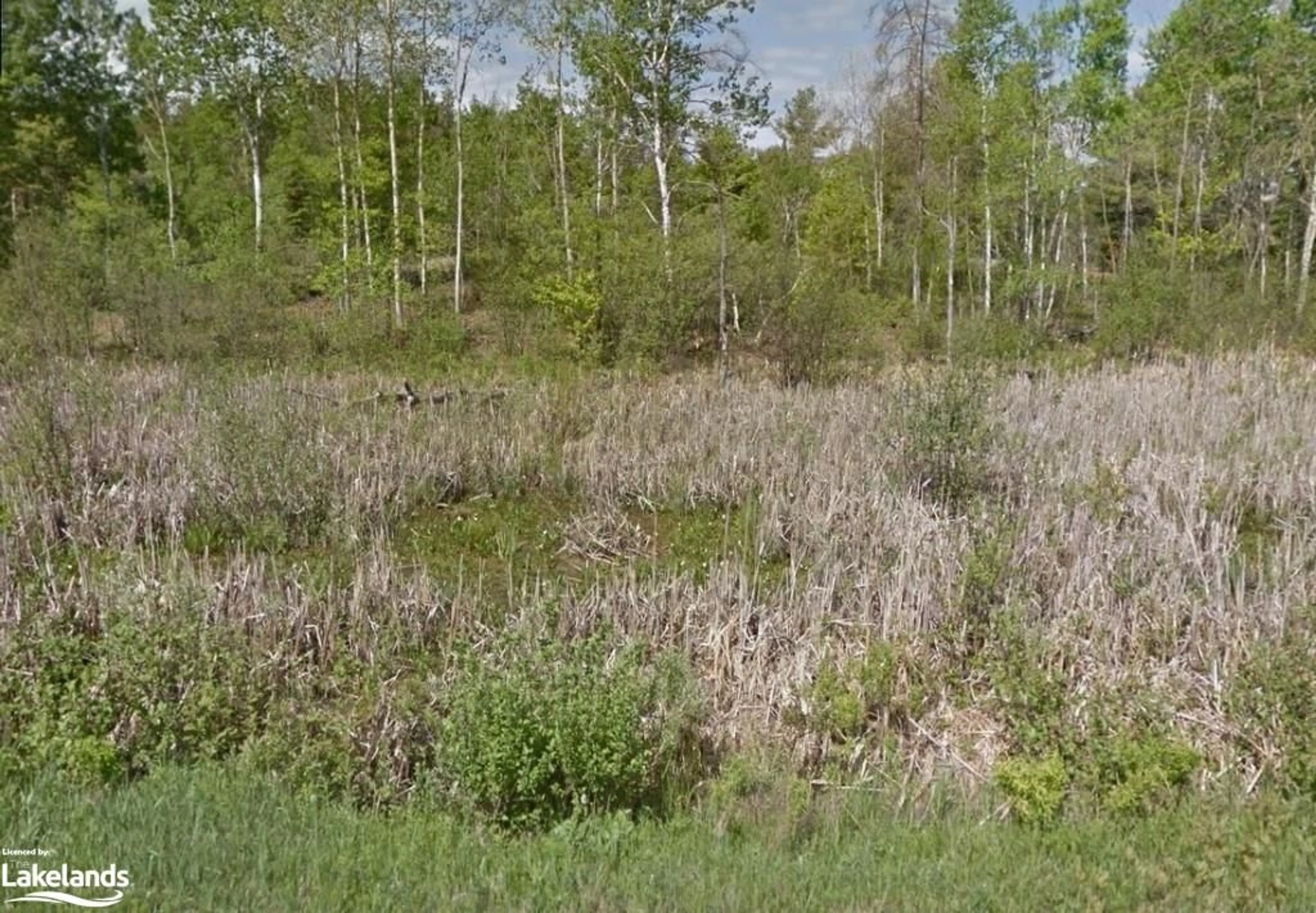 Forest view for LOT 25 Delamere Rd, Alban Ontario P0M 1A0