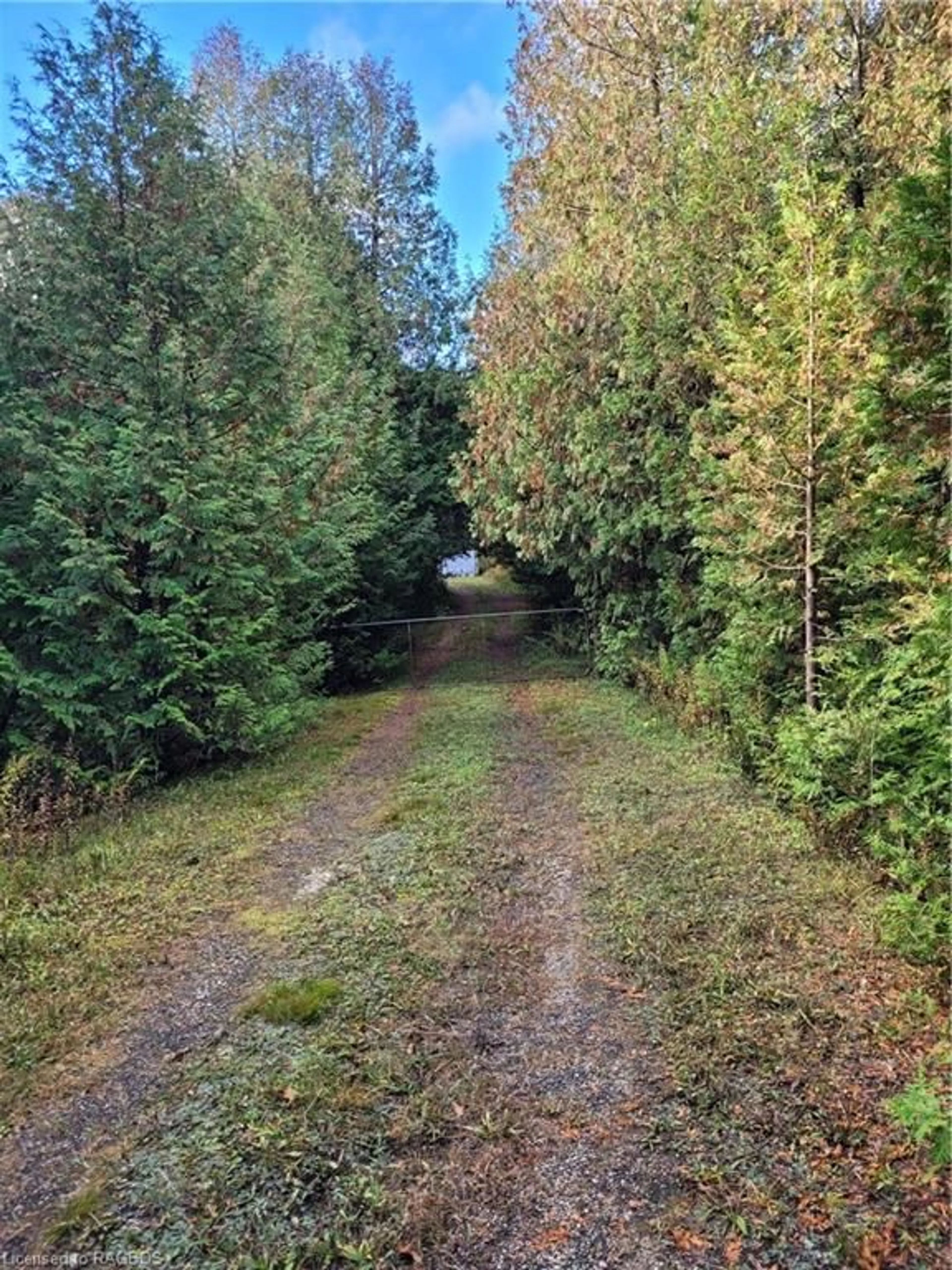 Forest view for PT LOT 88 Highway 10, West Grey Ontario N0C 1H0