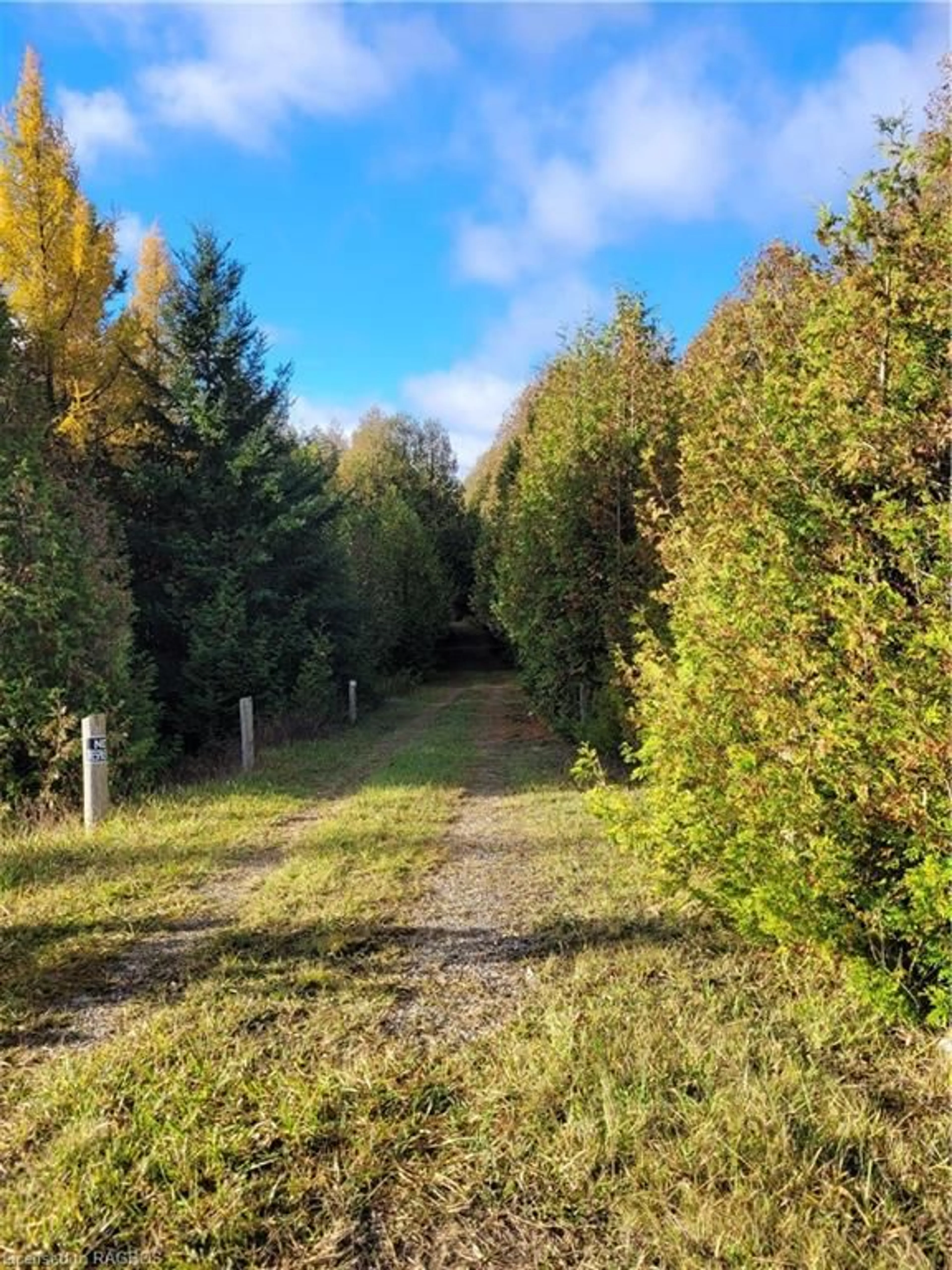 Fenced yard for PT LOT 88 Highway 10, West Grey Ontario N0C 1H0