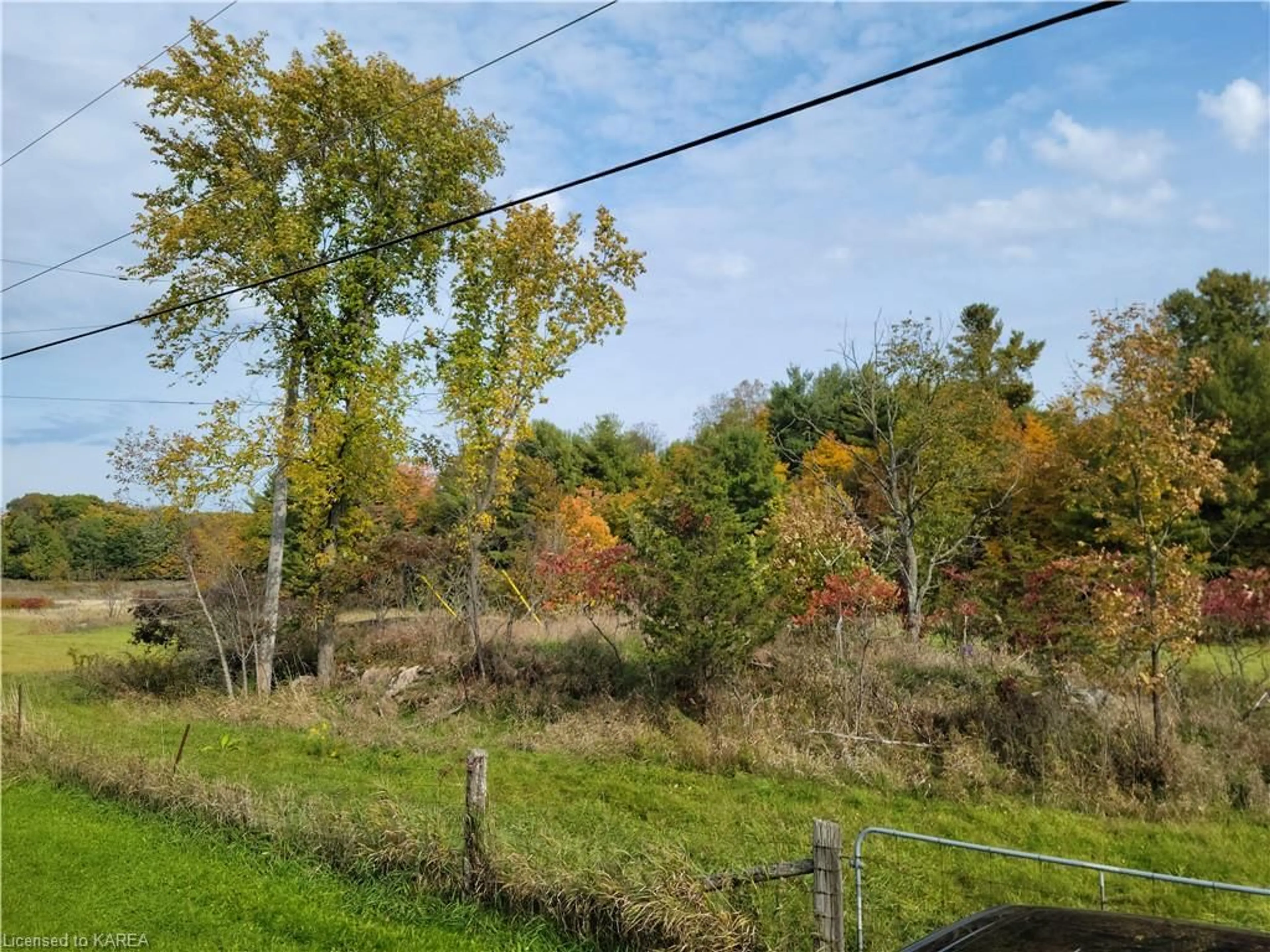 Forest view for 6000 Battersea Rd, South Frontenac Ontario K0H 1H0