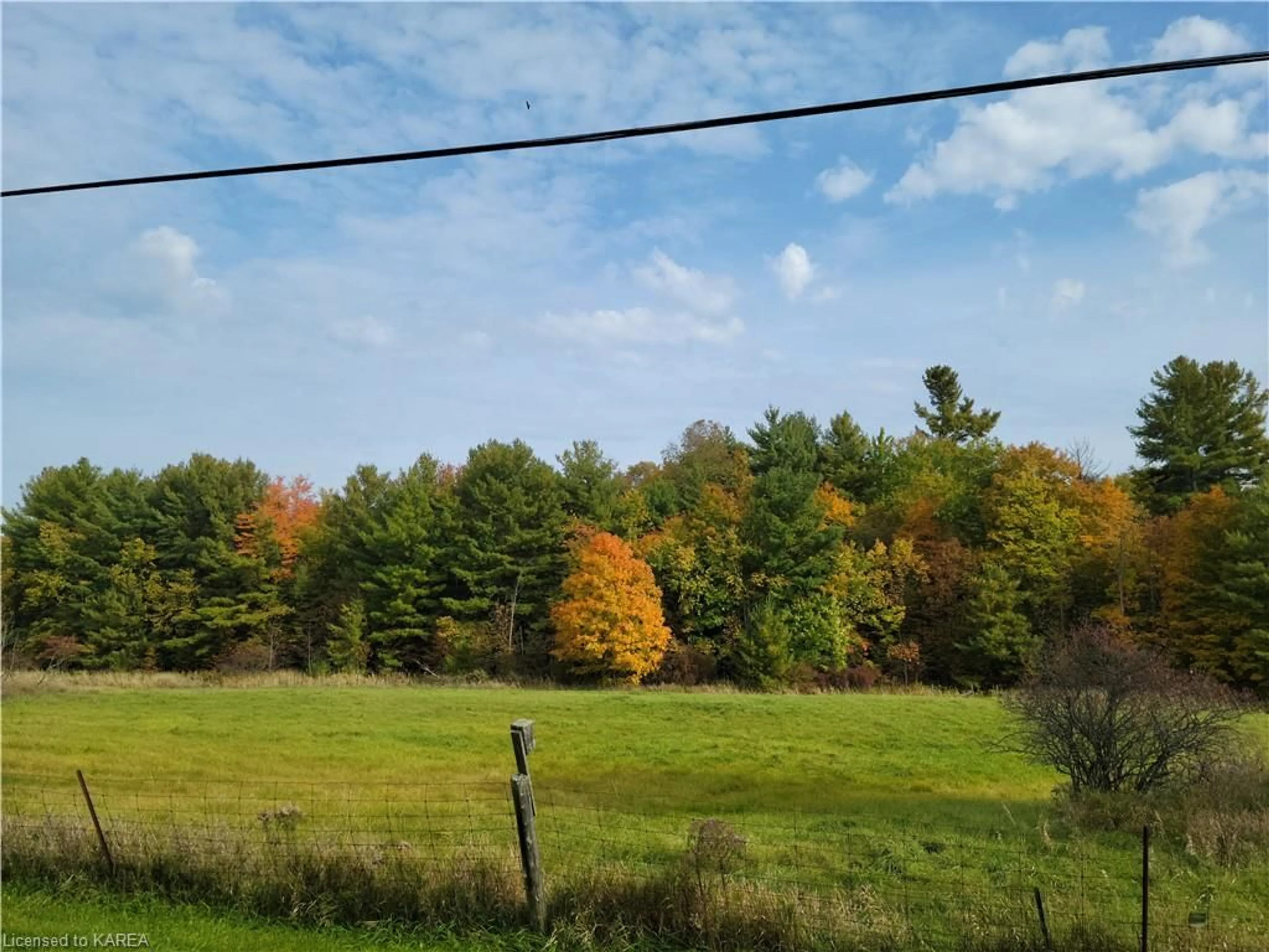 Forest view for 6000 Battersea Rd, South Frontenac Ontario K0H 1H0